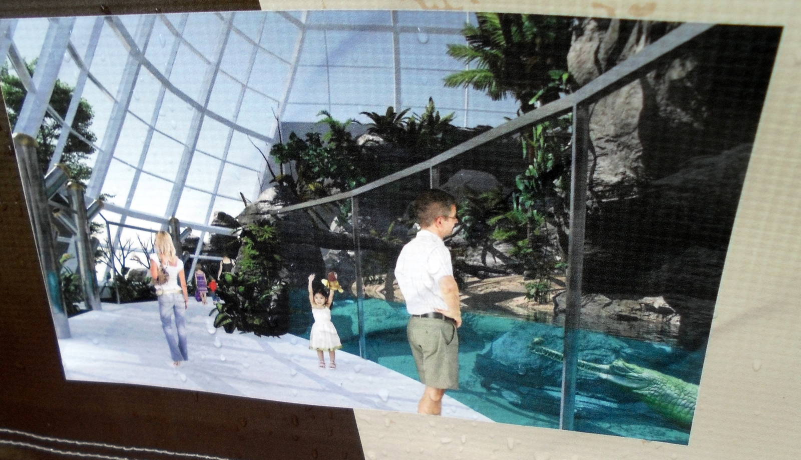 Concept Art for New Reptile Complex