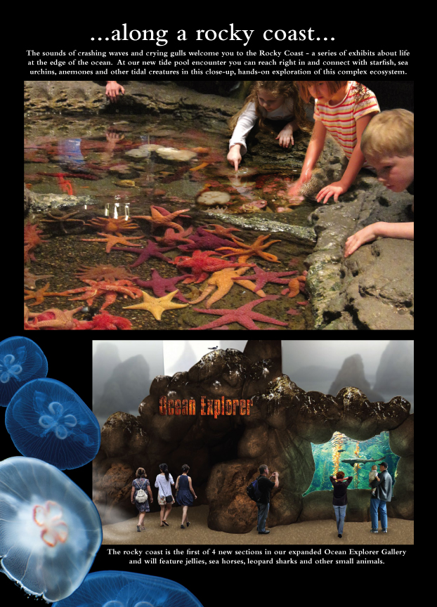 Concept Art for the new Living Planet Aquarium opening in 2013