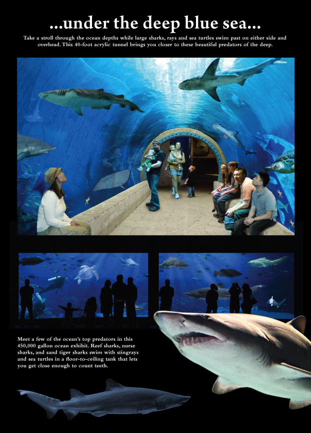 Concept Art for the new Living Planet Aquarium opening in 2013