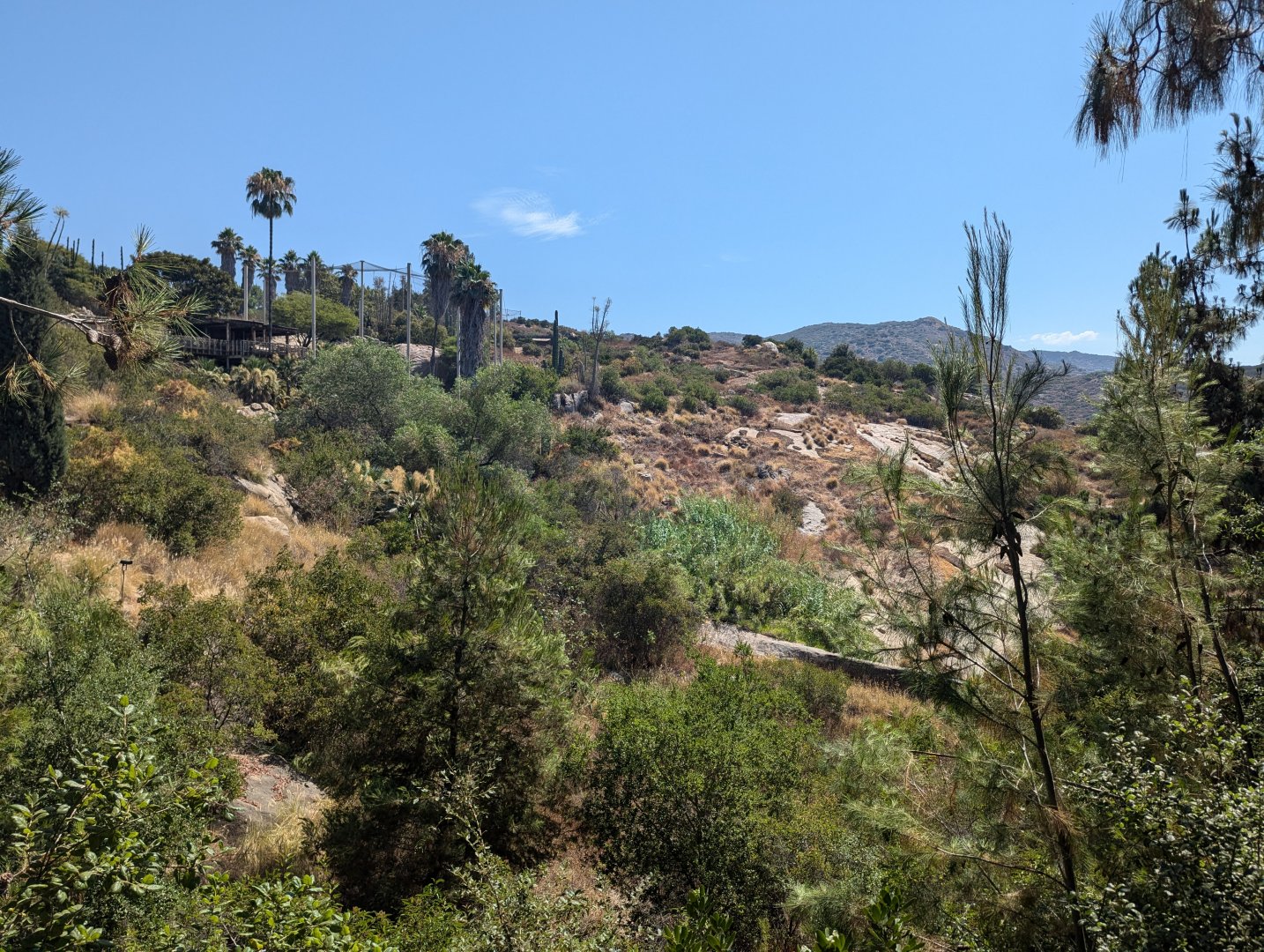 Condor Aviary and Hillside