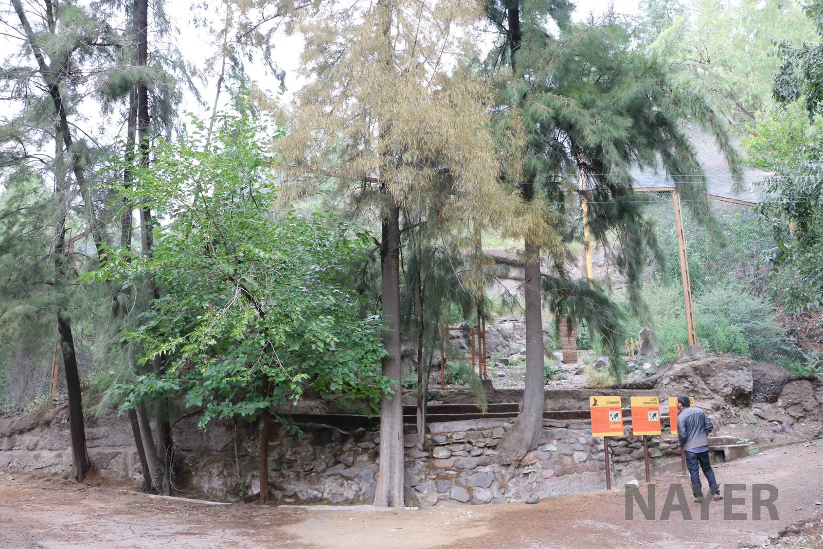 Condor aviary - Mendoza Zoo, April 2016