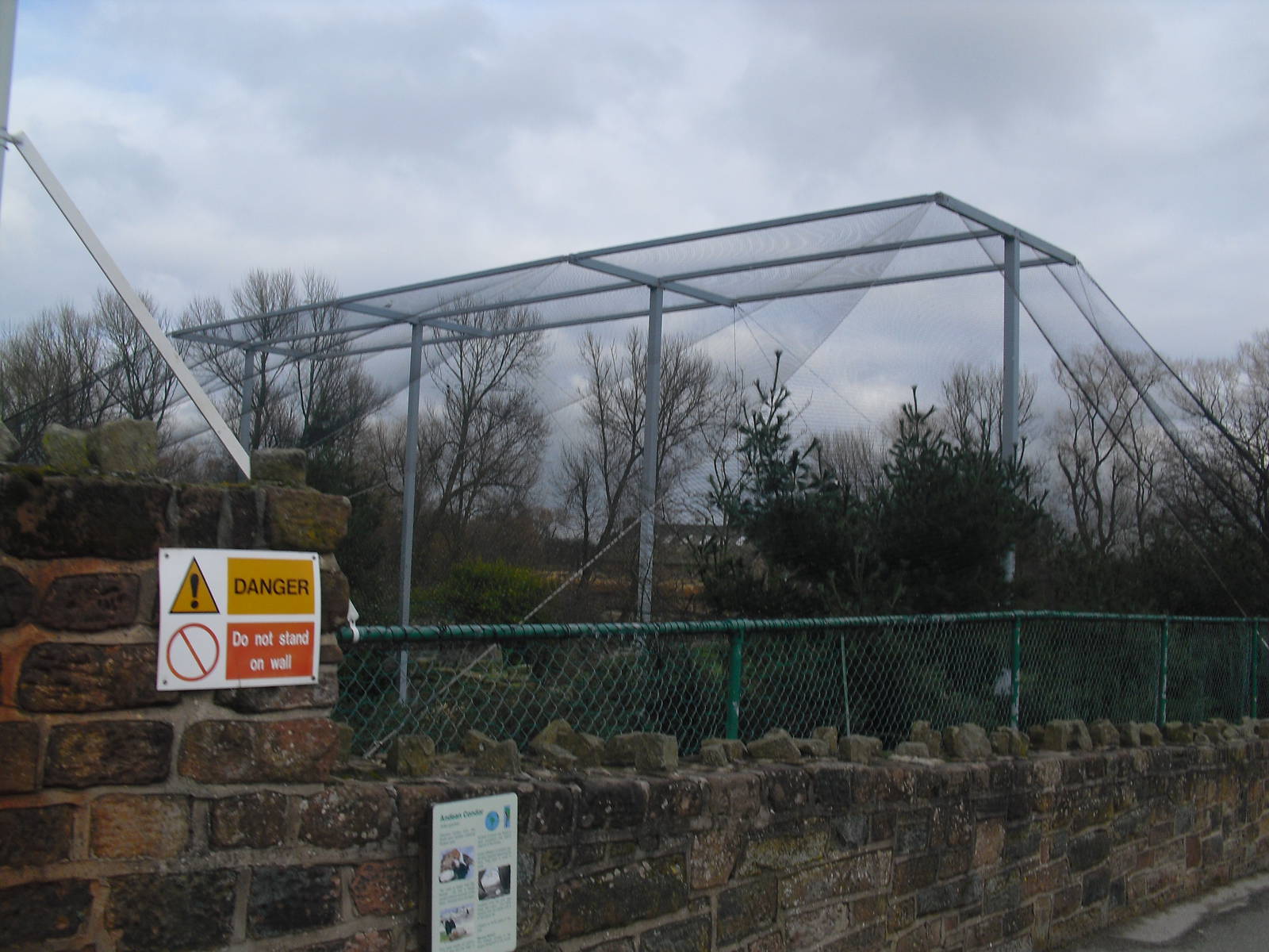 Condor Cliffs (Aviary) - 16/02/2011