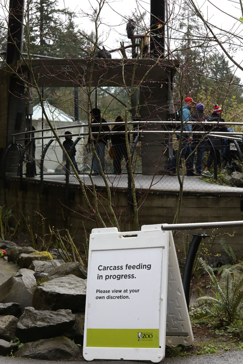 condor exhibit (with warning sign)