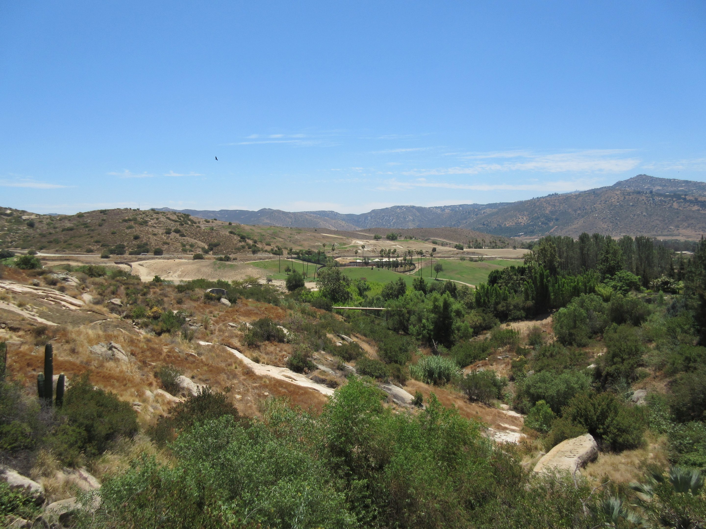 Condor Ridge - An Amazing View!