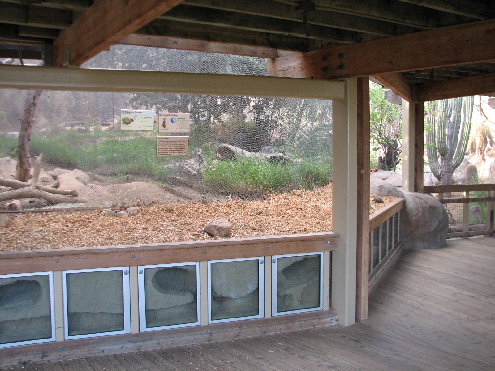 Condor Ridge - Black-Tailed Prairie Dog and North American Porcupine Exhibi