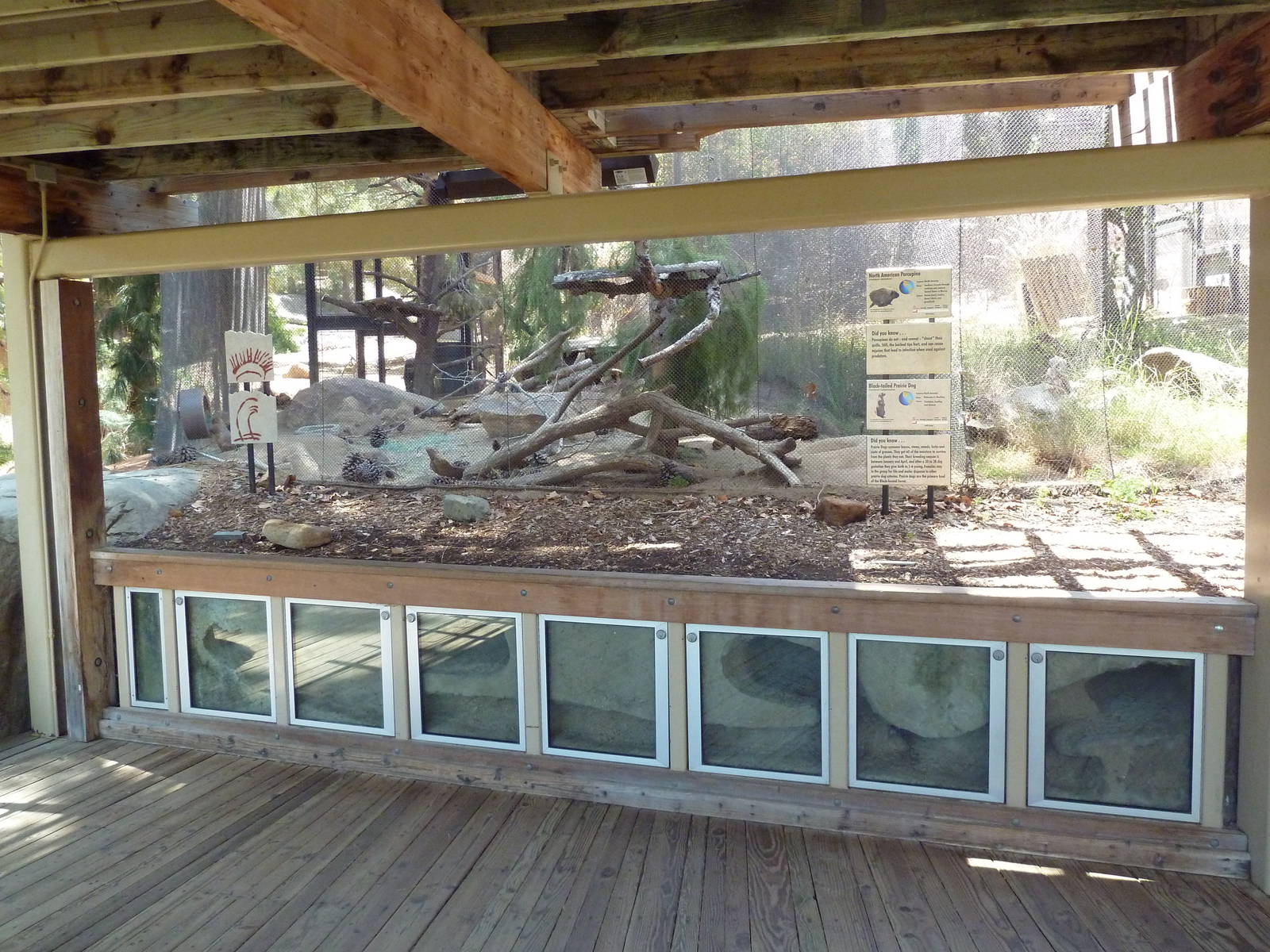 Condor Ridge - Black-Tailed Prairie Dog/Porcupine Exhibit