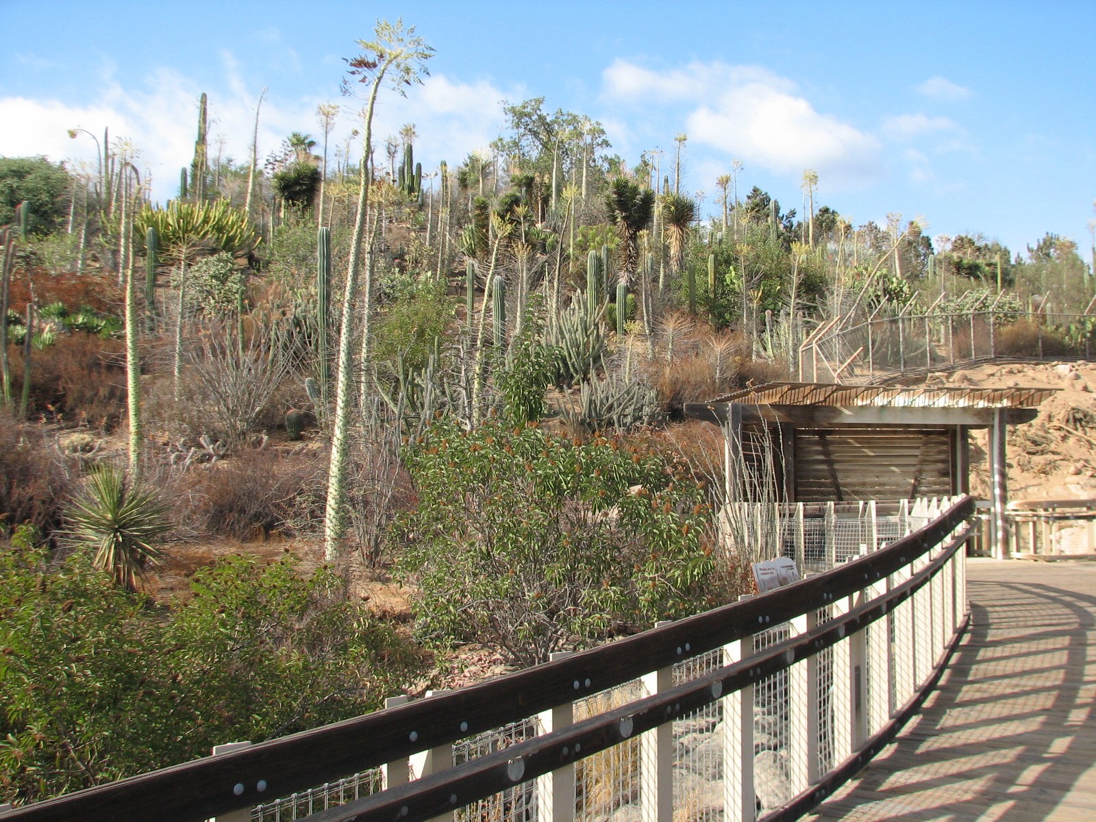 Condor Ridge - Boardwalk with View of Baja Garden