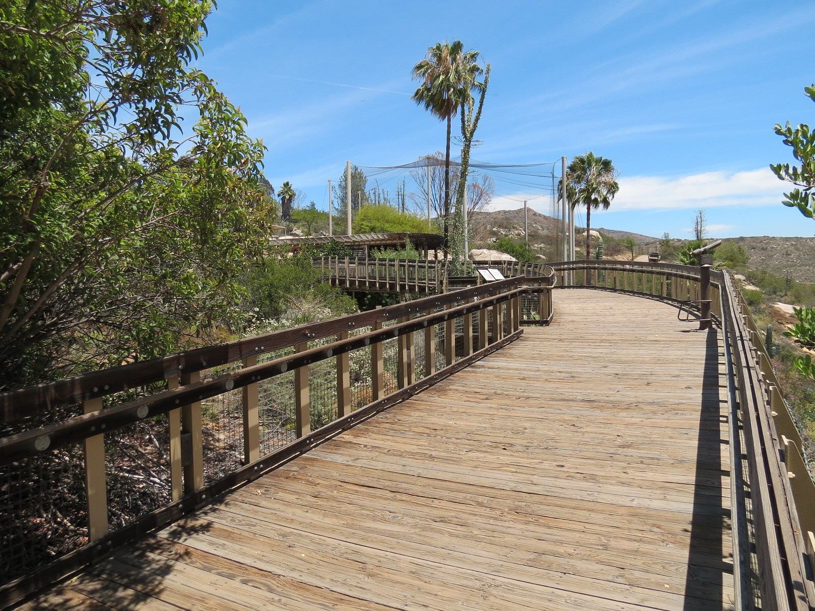 Condor Ridge - Boardwalk