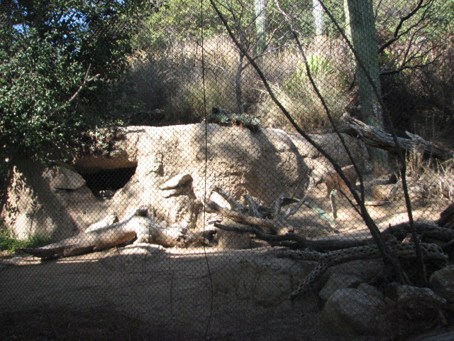 Condor Ridge - Burrowing Owl, Desert Tortoise and Black-Billed Magpie Exhib