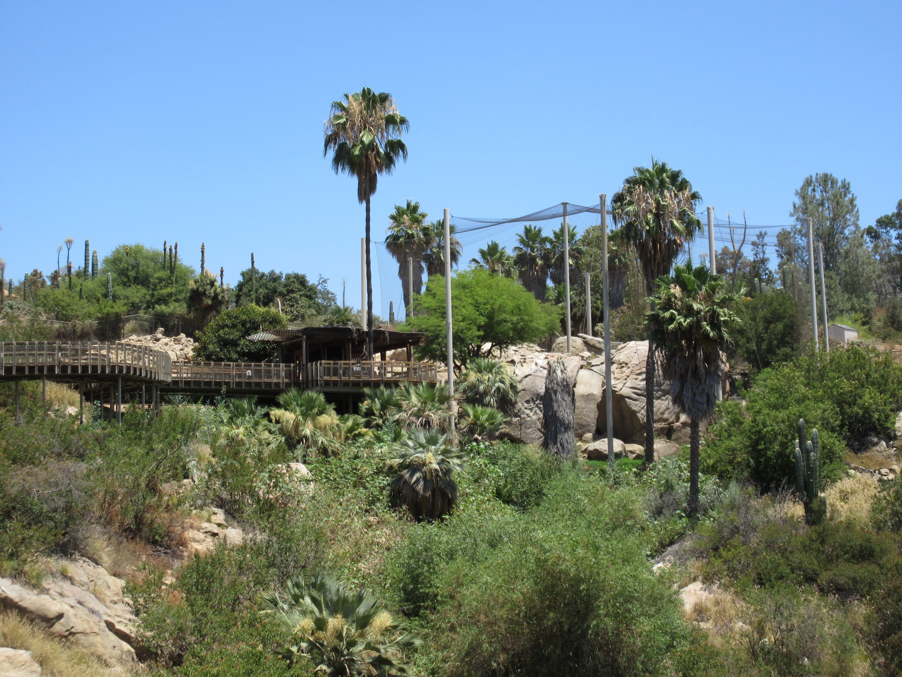 Condor Ridge - California Condor Exhibit + Boardwalk