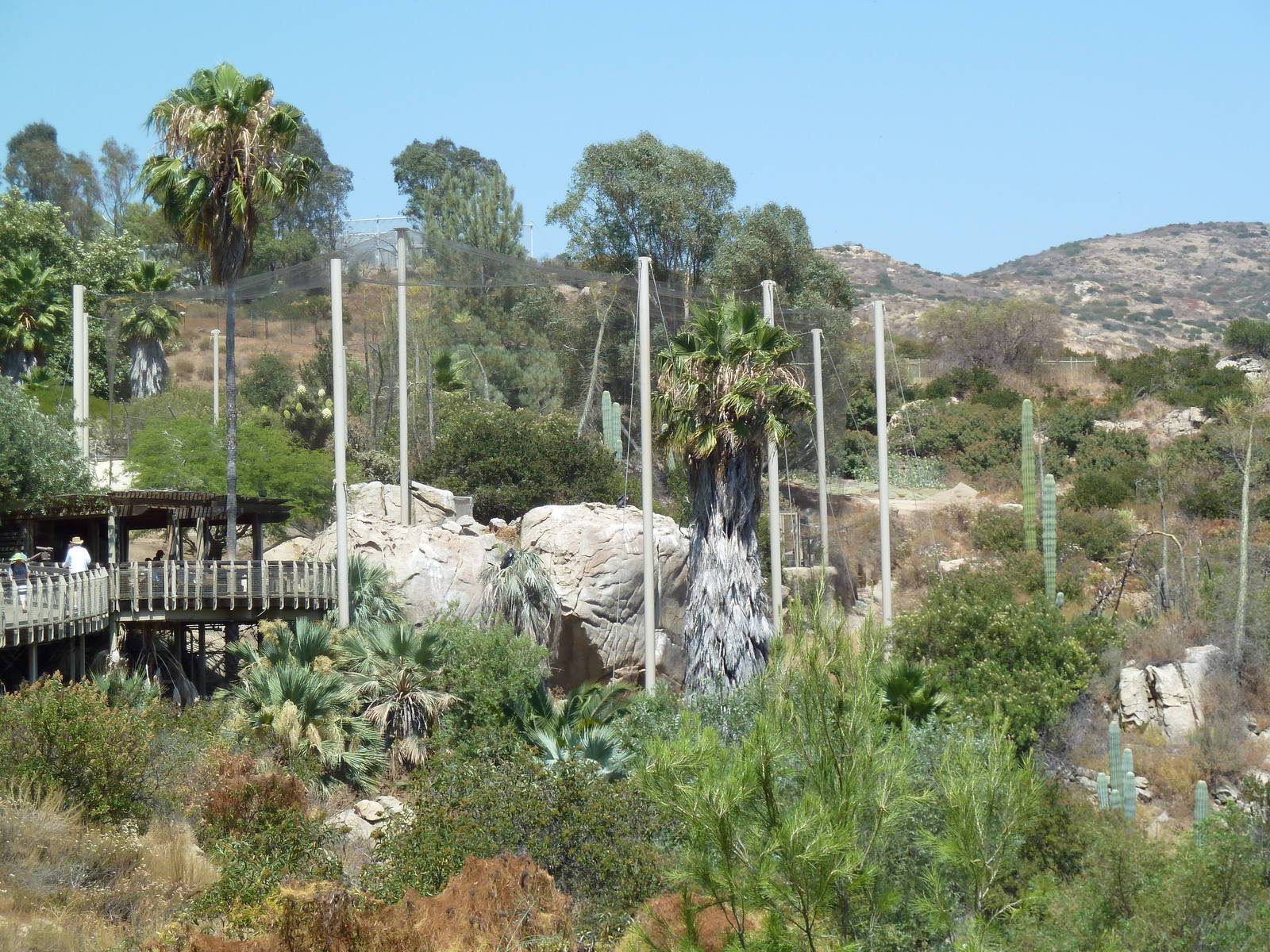Condor Ridge - California Condor Exhibit