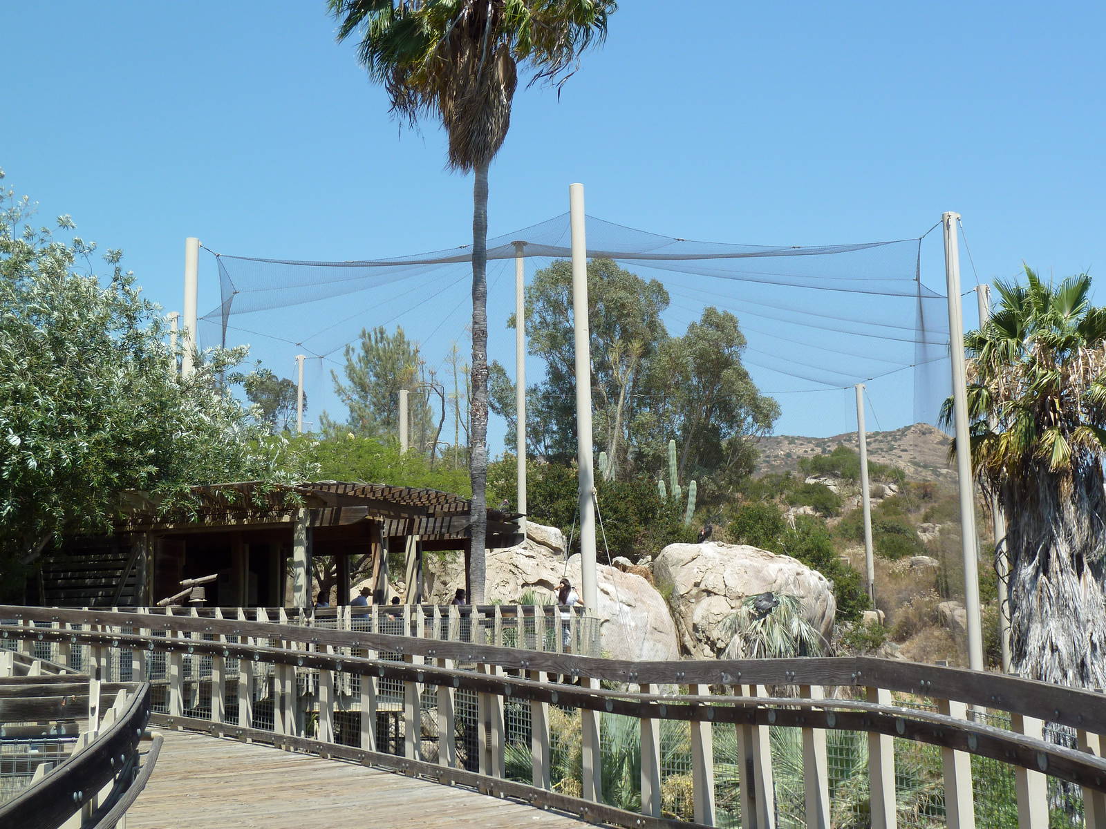 Condor Ridge - California Condor Exhibit
