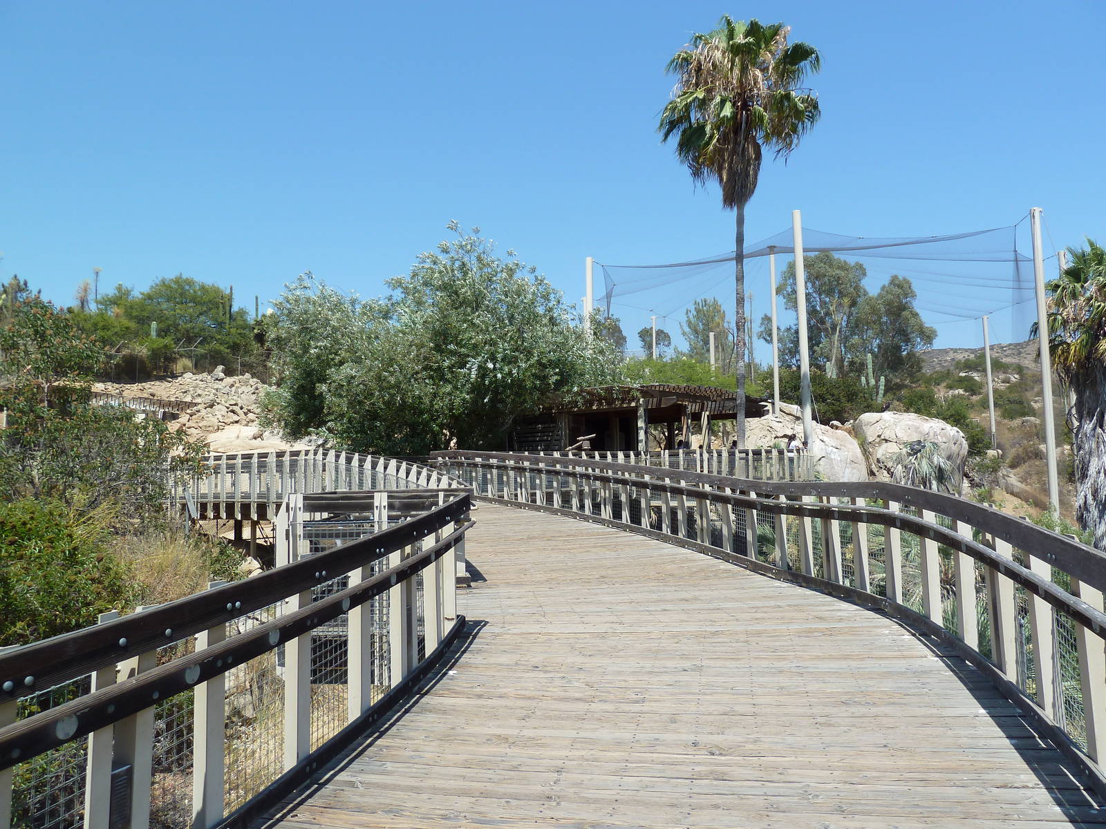 Condor Ridge - California Condor Exhibit
