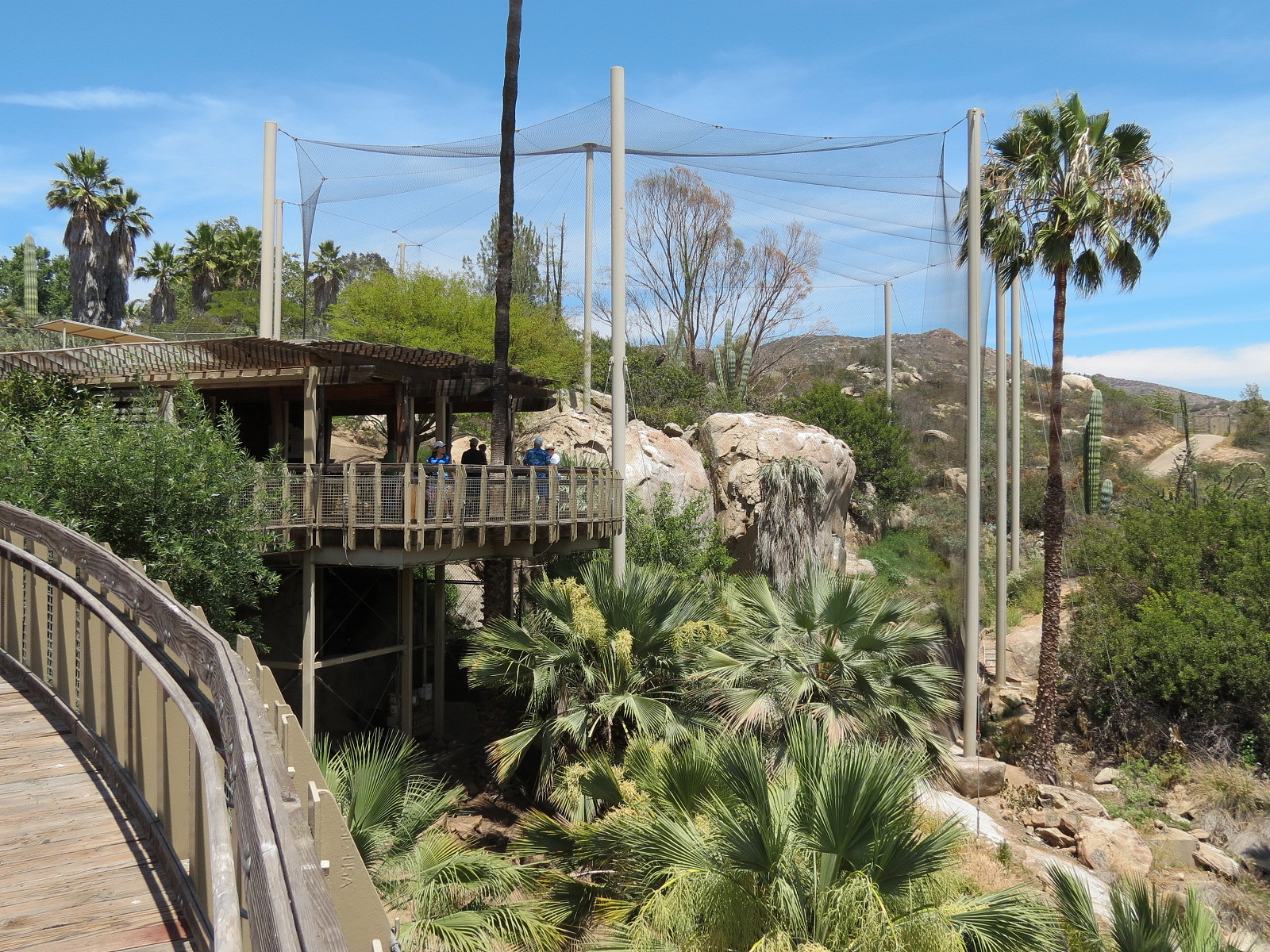 Condor Ridge - California Condor Exhibit