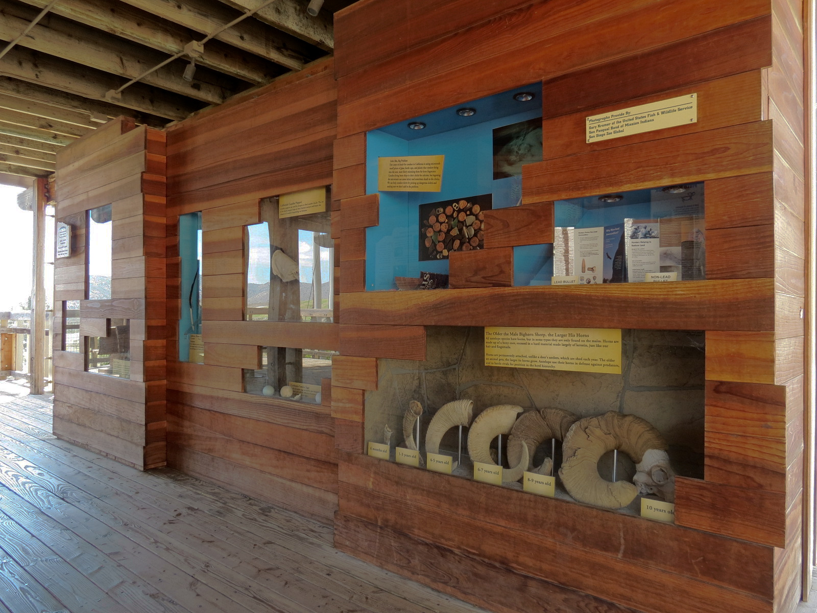 Condor Ridge - California Condor Exhibit