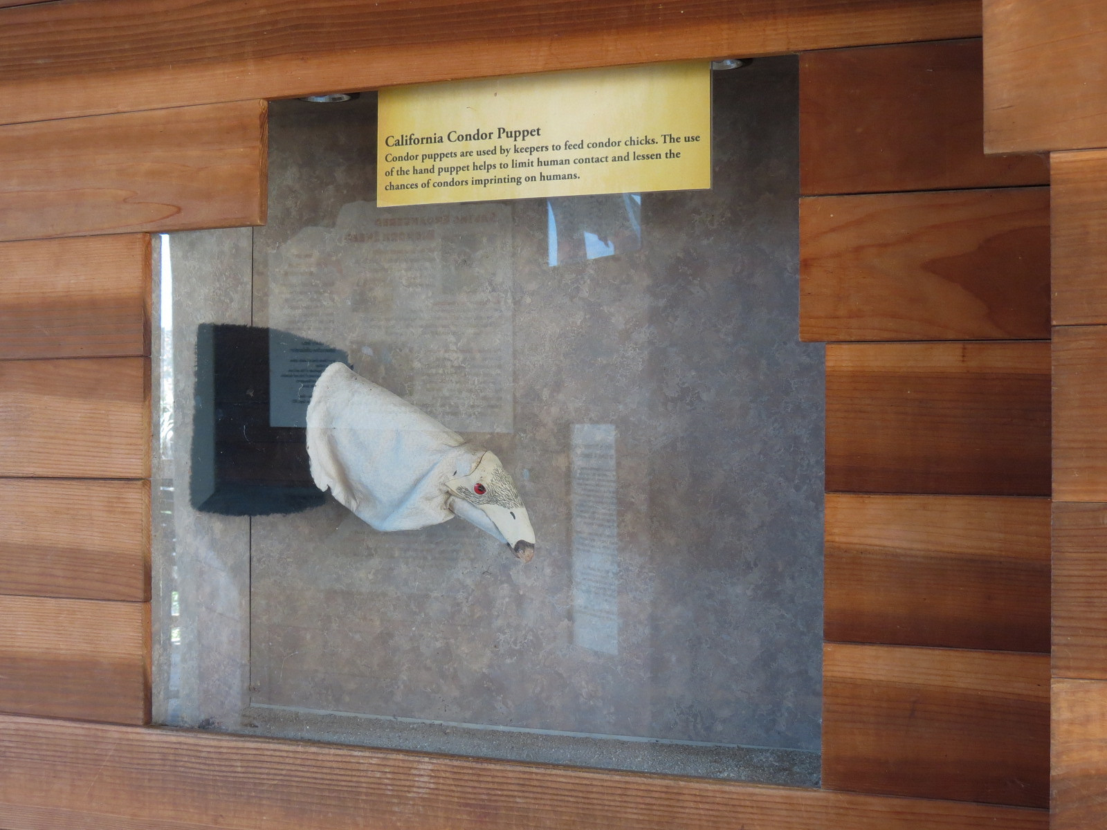 Condor Ridge - California Condor Exhibit