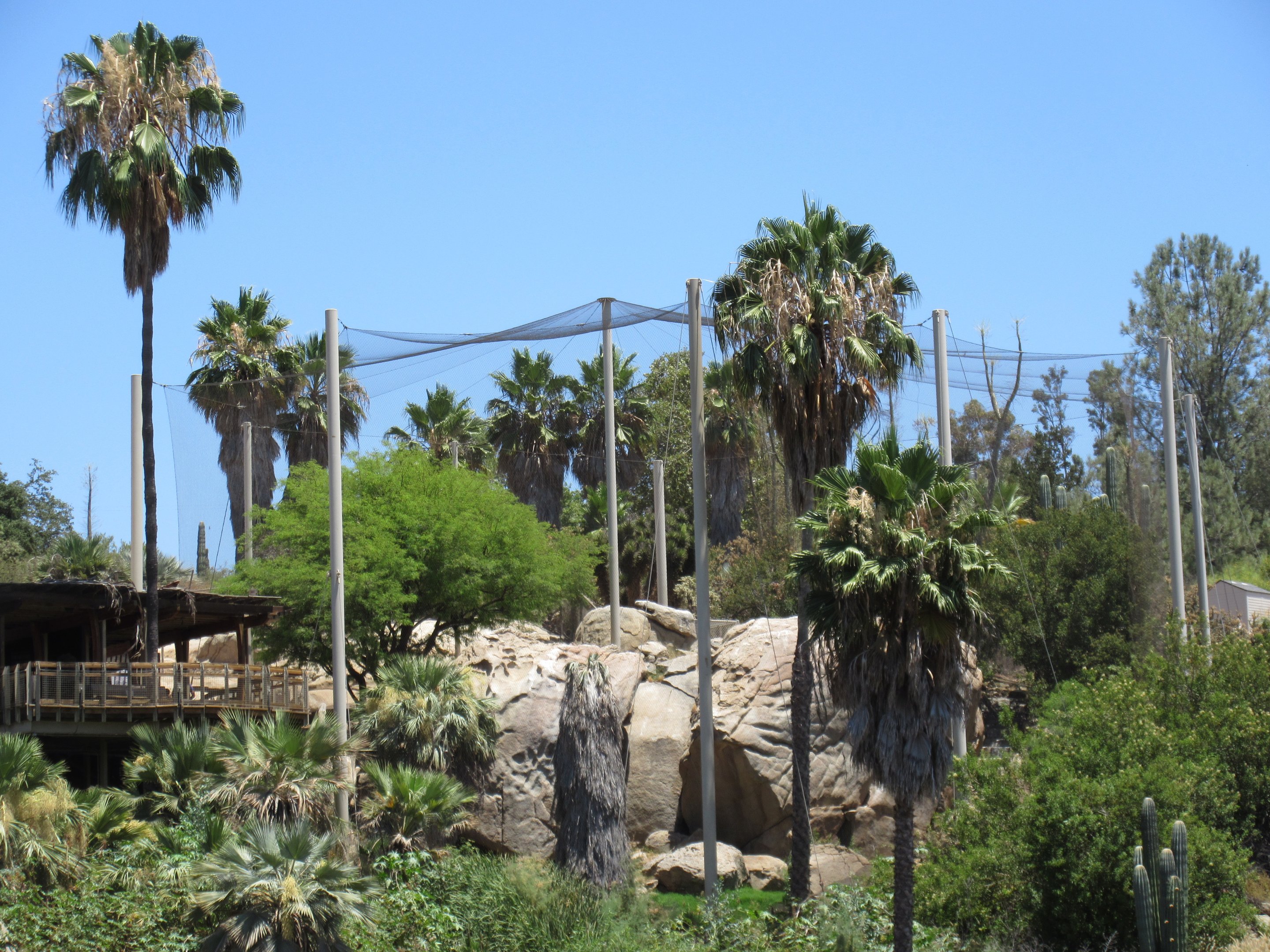 Condor Ridge - California Condor Exhibit
