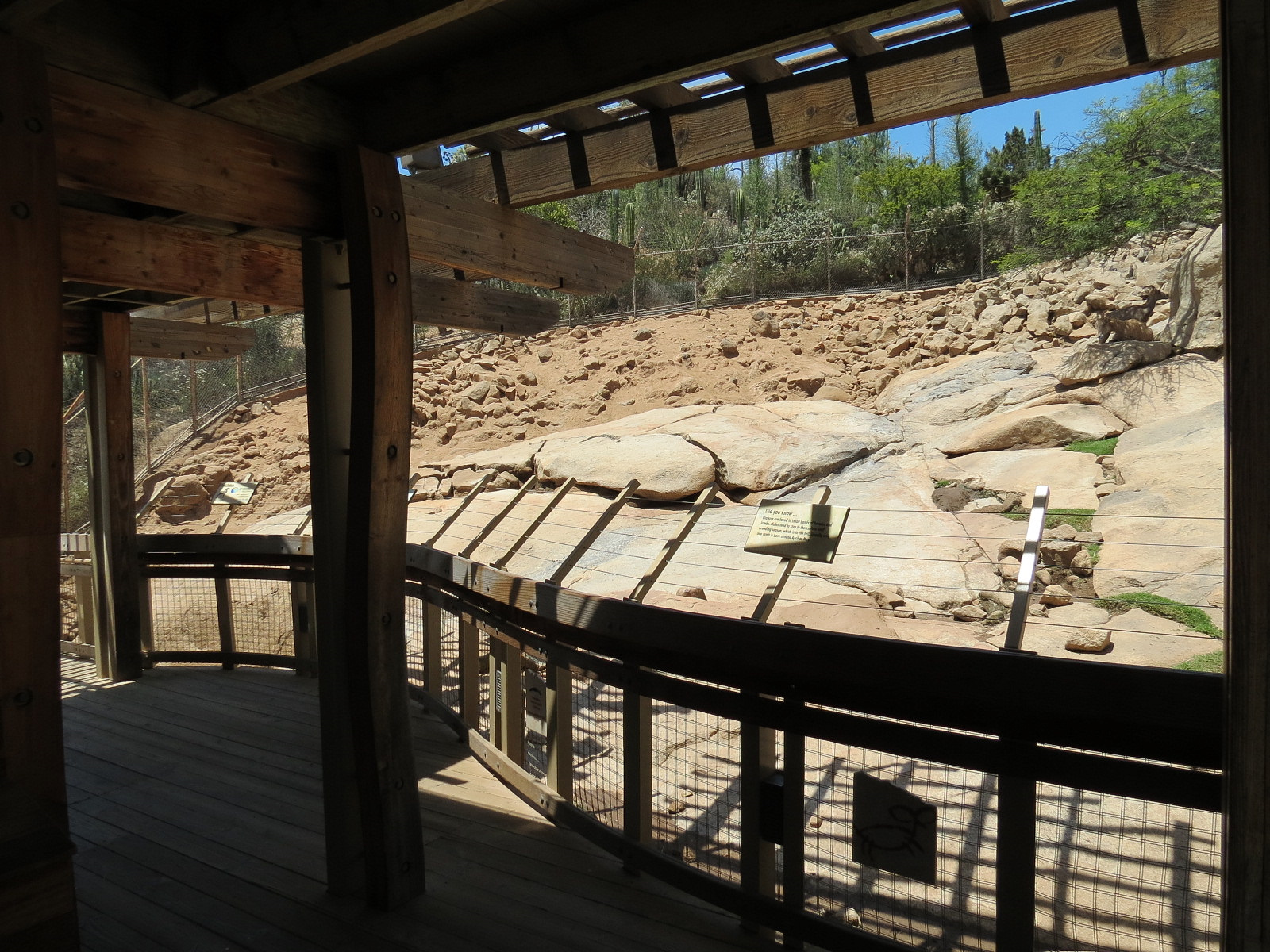 Condor Ridge - Desert Bighorn Exhibit