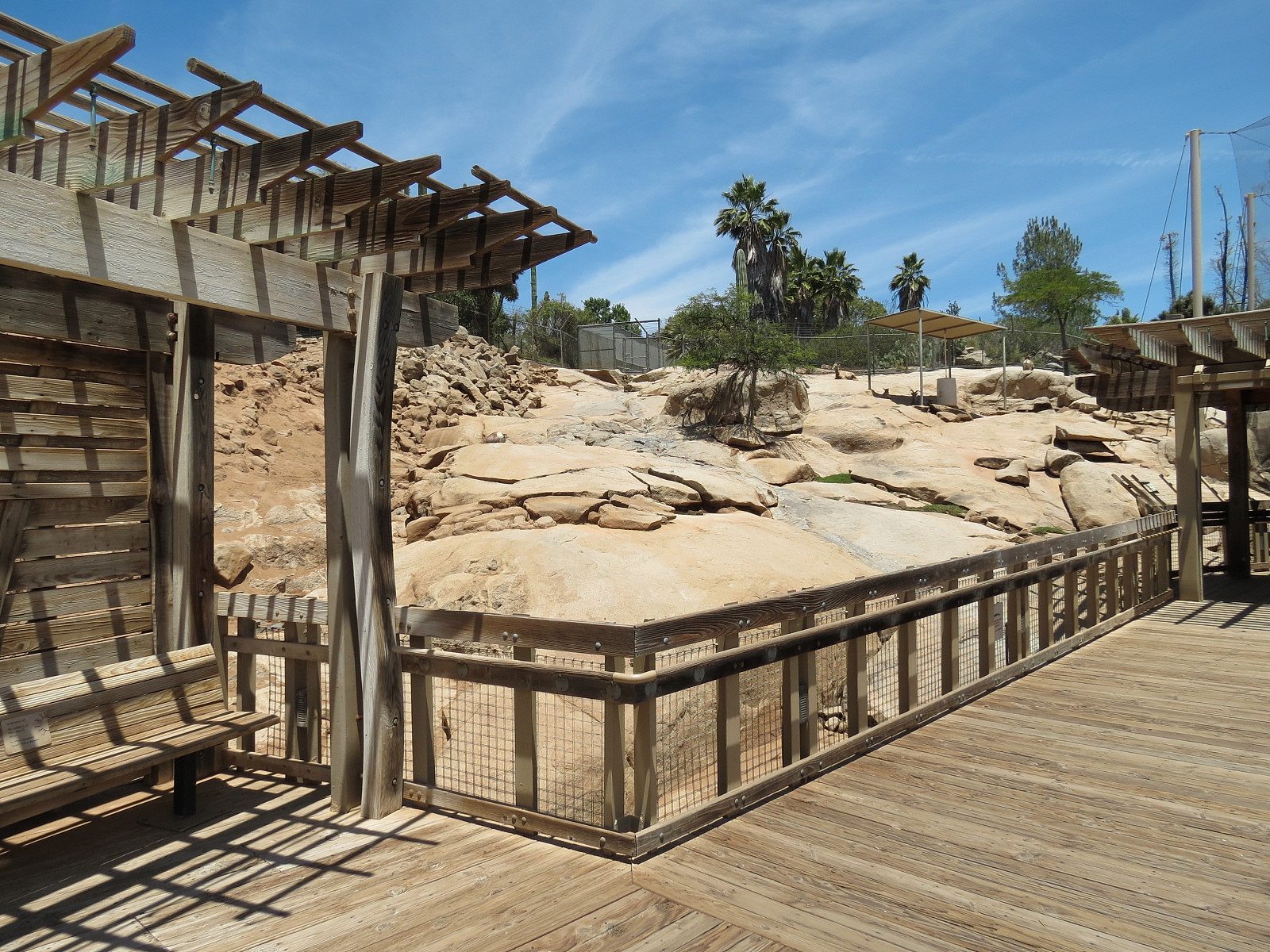 Condor Ridge - Desert Bighorn Exhibit