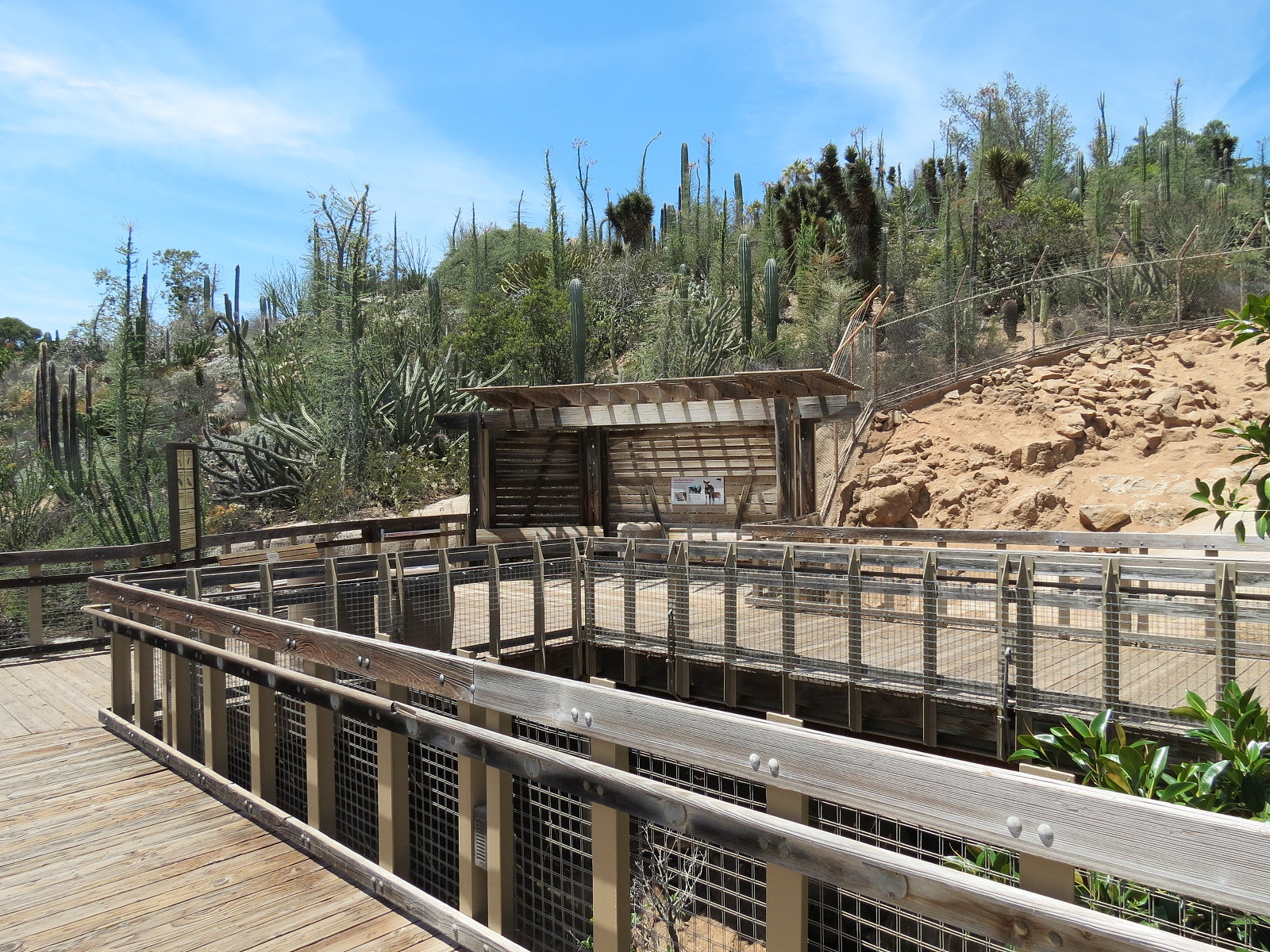 Condor Ridge - Desert Bighorn Exhibit