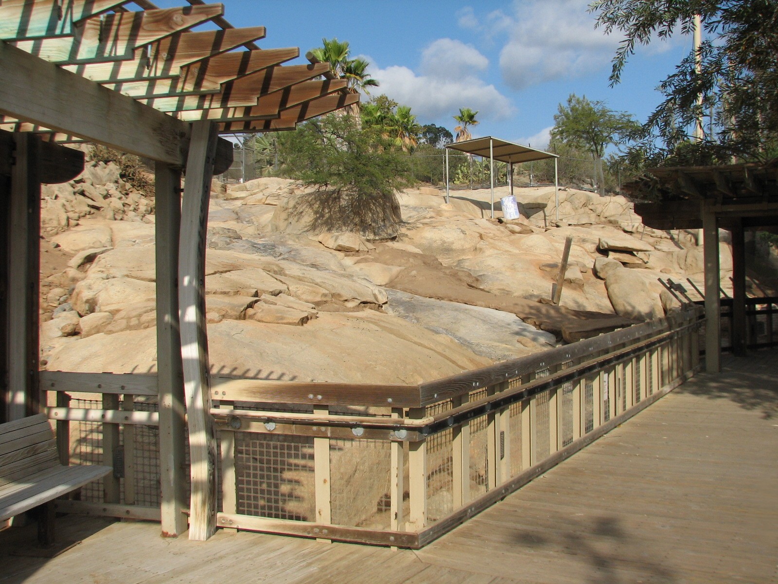 Condor Ridge - Desert Bighorn Sheep Exhibit