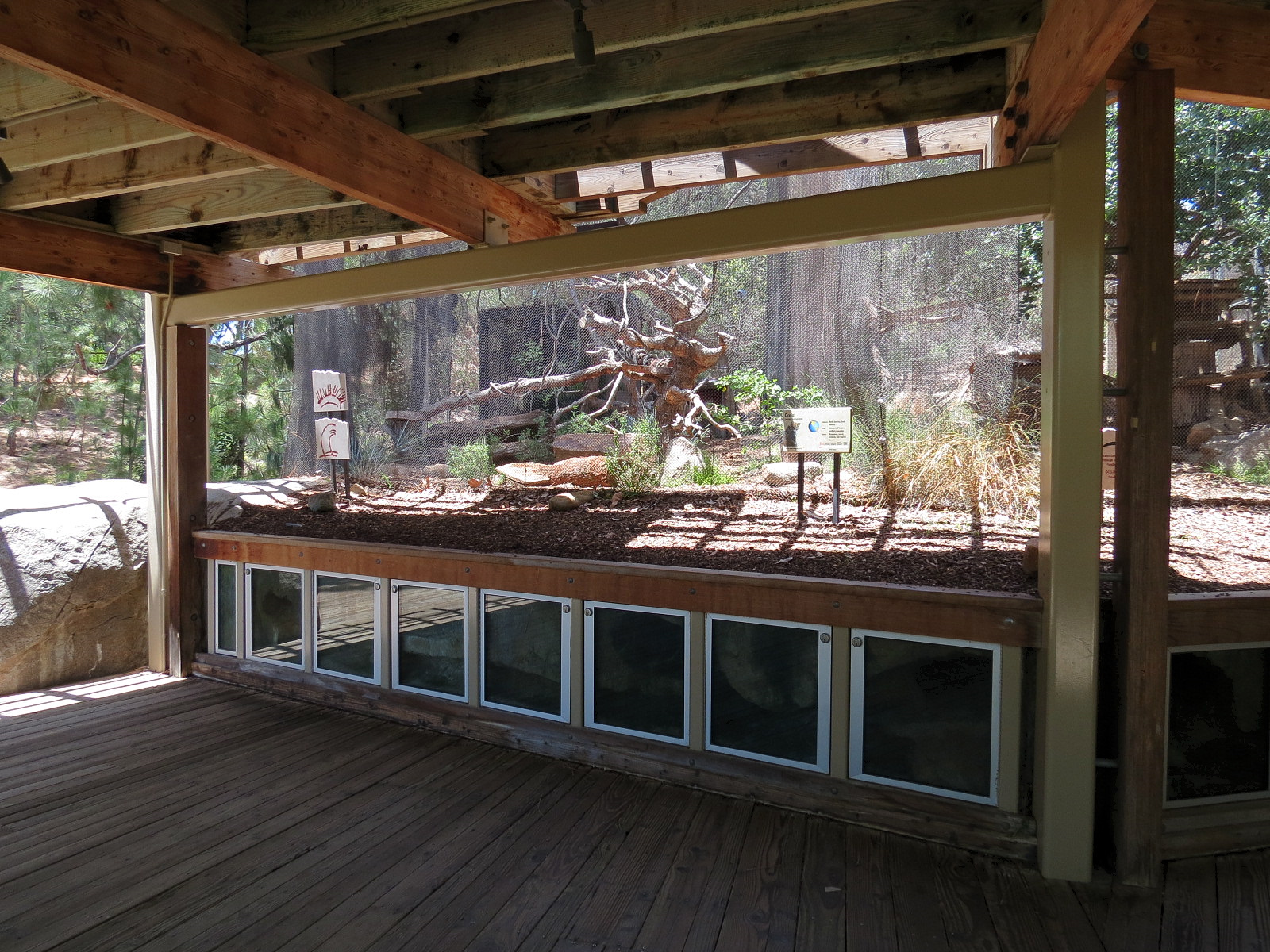 Condor Ridge - Ocelot Exhibit 1