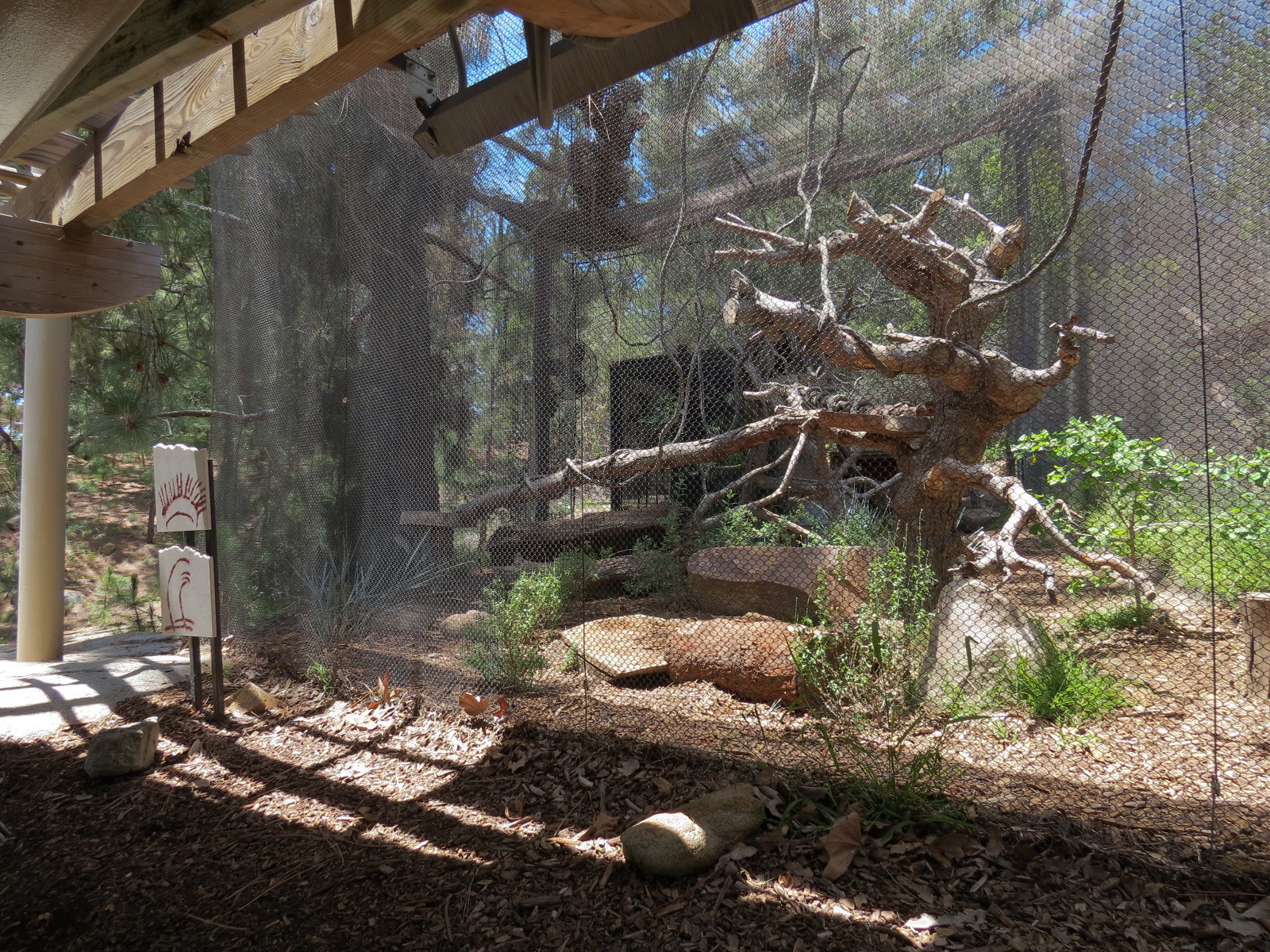 Condor Ridge - Ocelot Exhibit 1