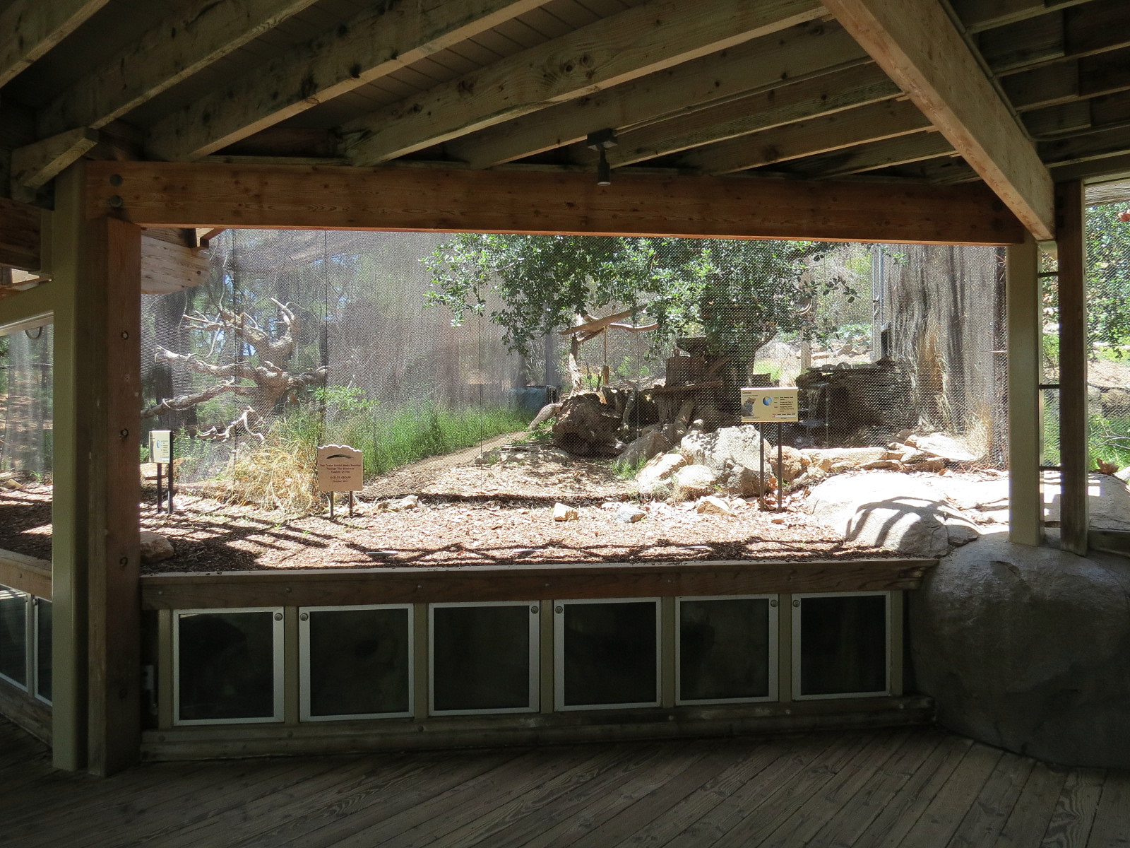 Condor Ridge - Ocelot Exhibit 2