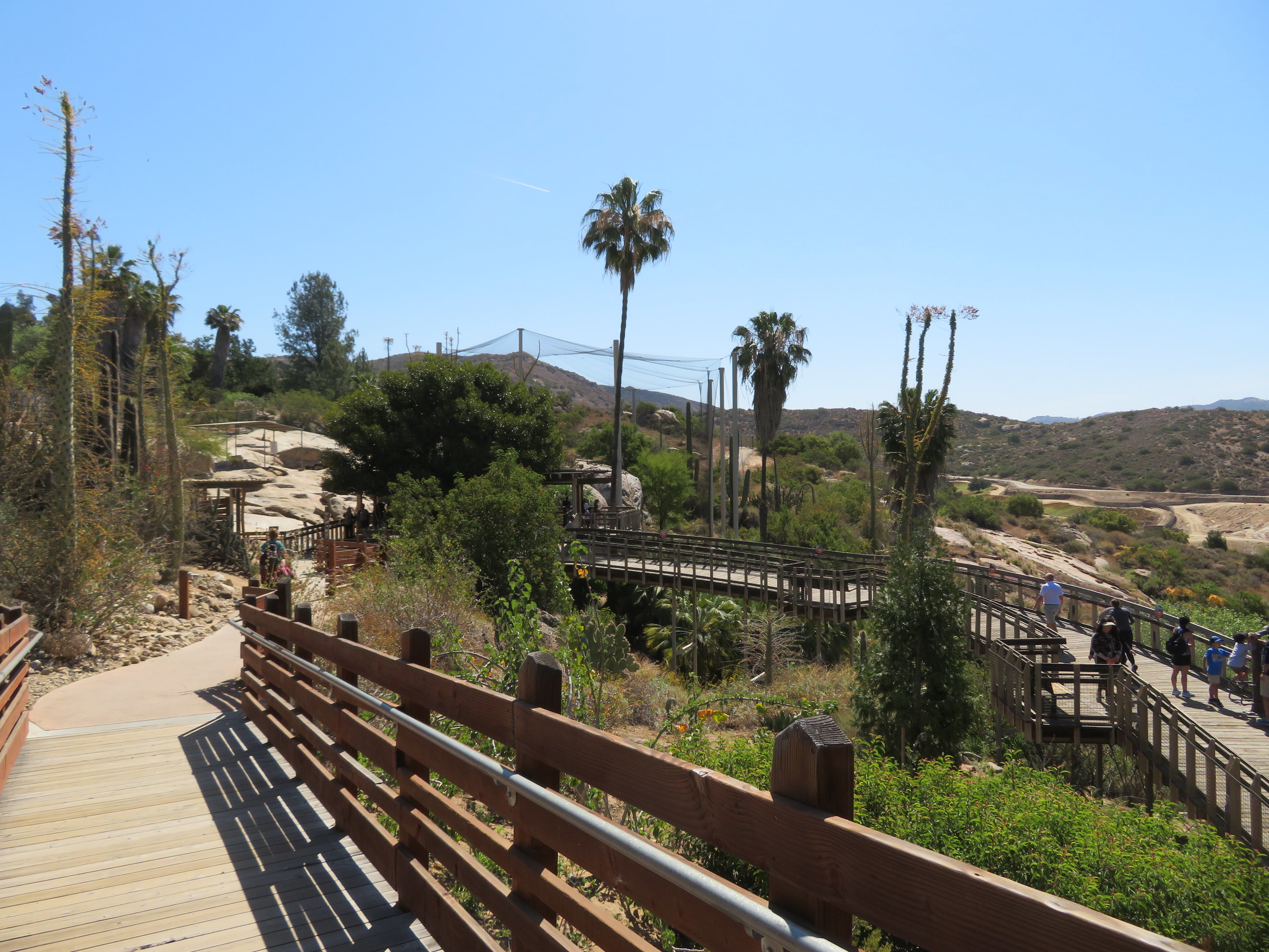 Condor Ridge Overlook