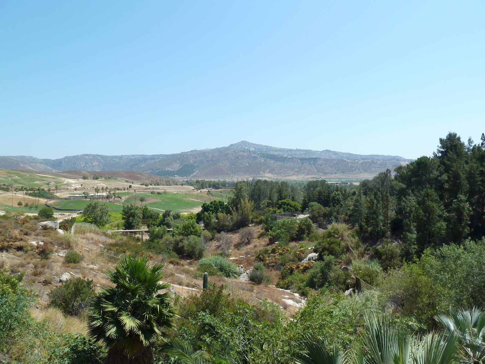 Condor Ridge - Scenic View Of Park