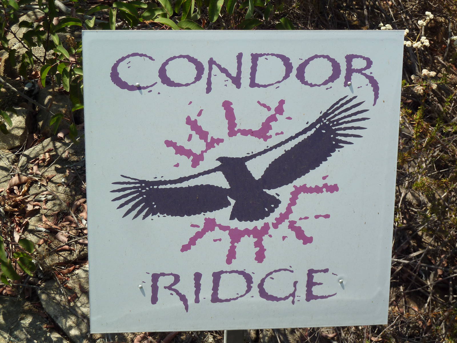 Condor Ridge Sign