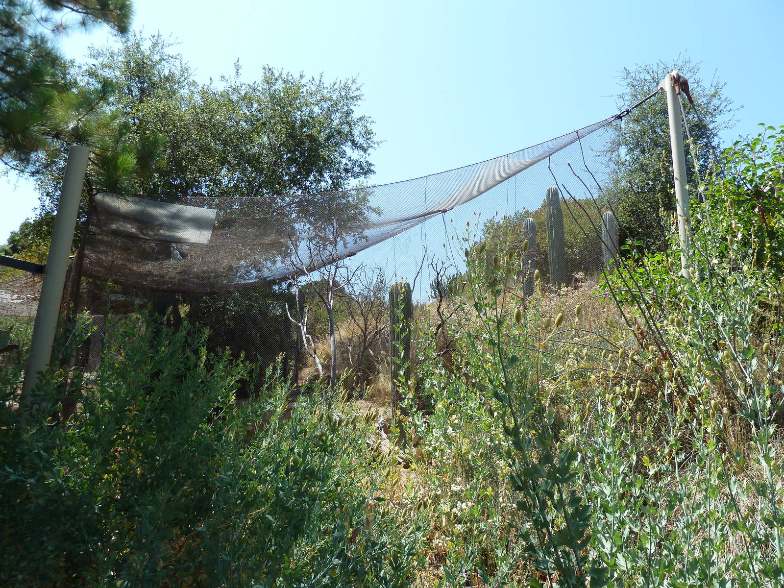 Condor Ridge - Small Animal Exhibit (3 Species)