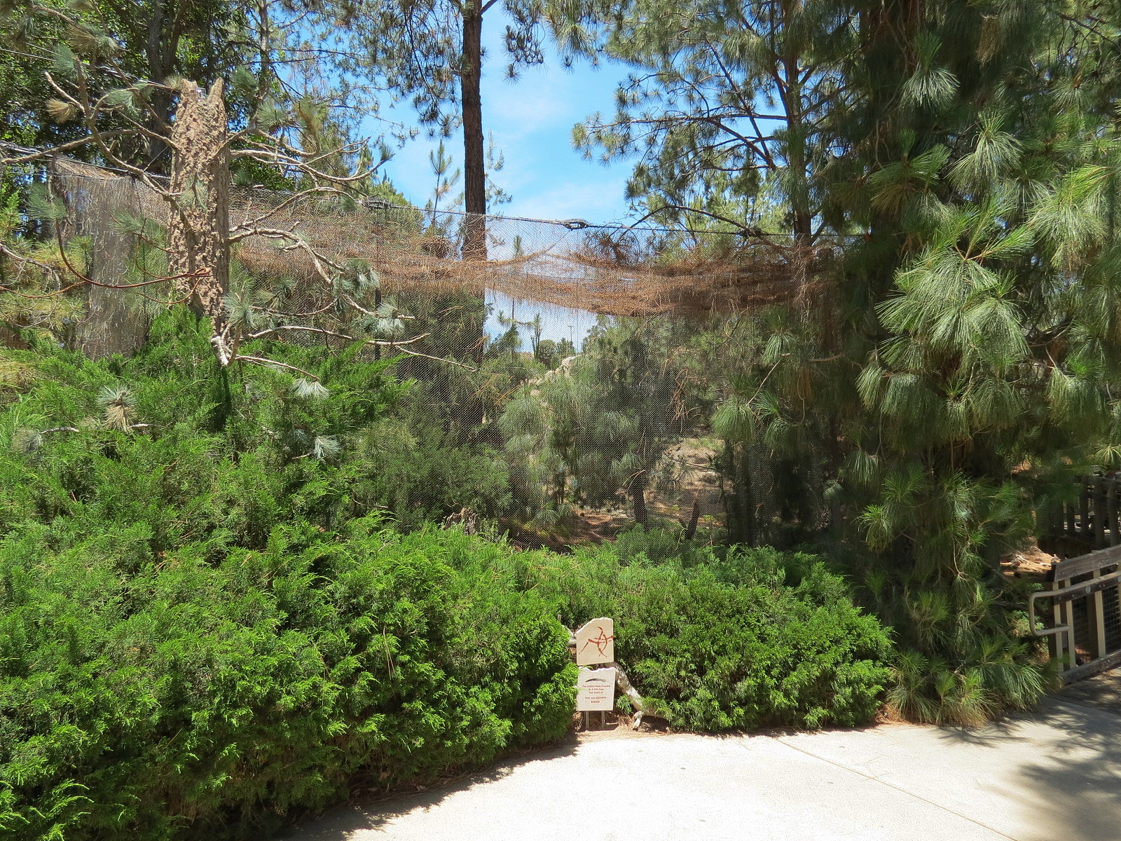 Condor Ridge - Southern Bald Eagle Exhibit