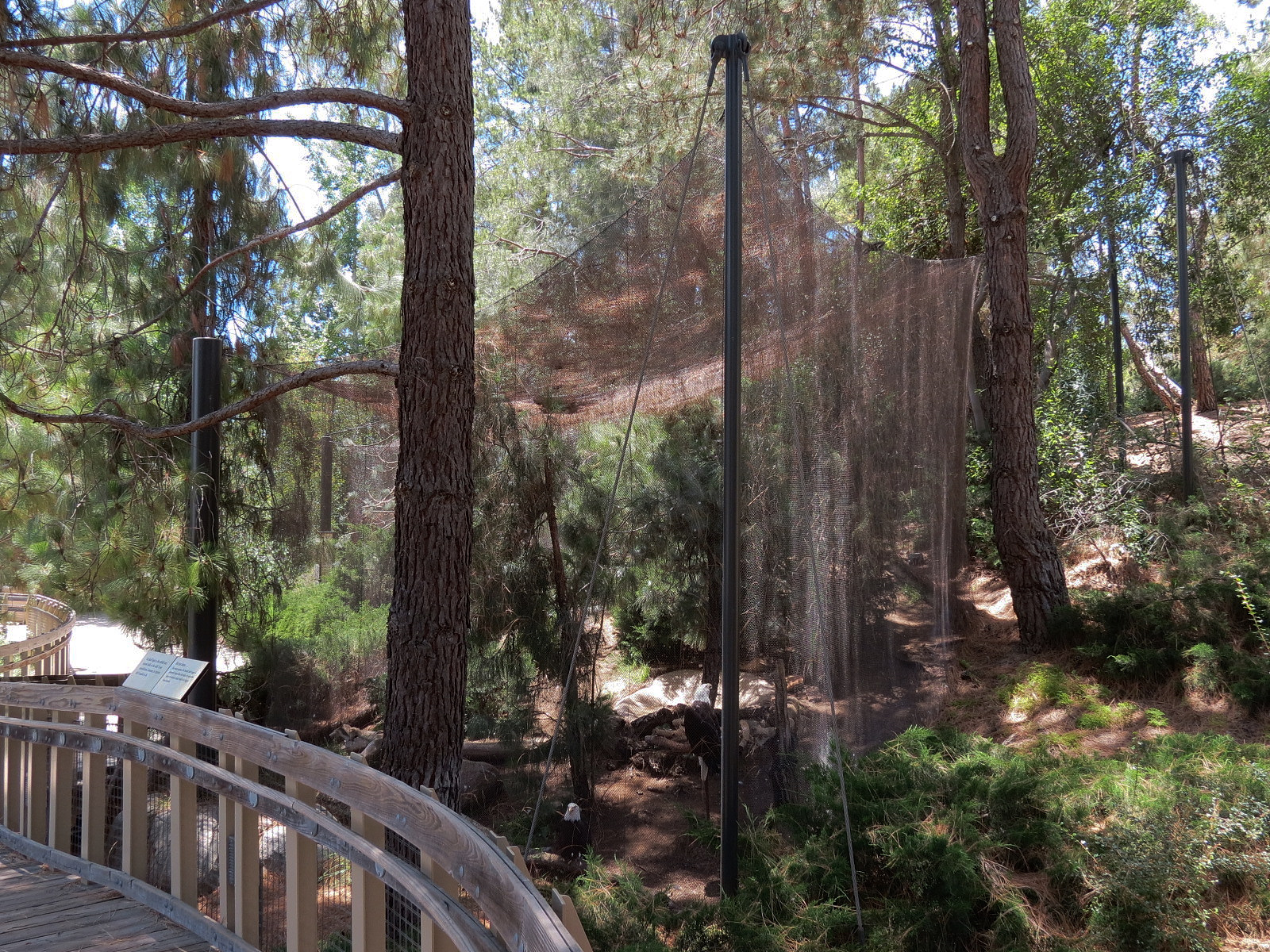 Condor Ridge - Southern Bald Eagle Exhibit