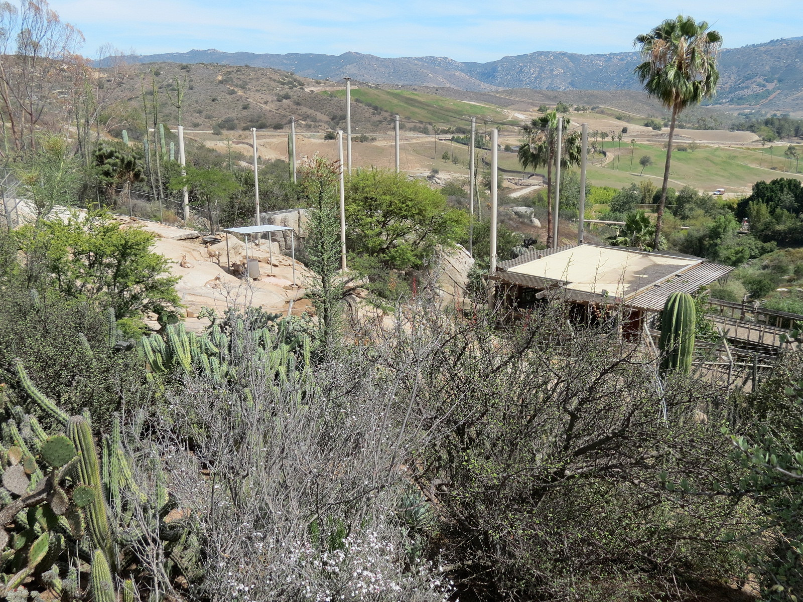 Condor Ridge - View from Above