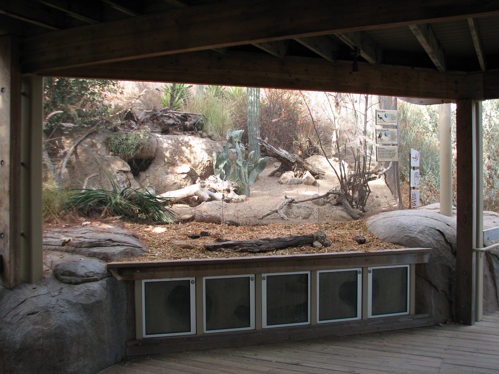 Condor Ridge - Western Burrowing Owl and Magpie Exhibit