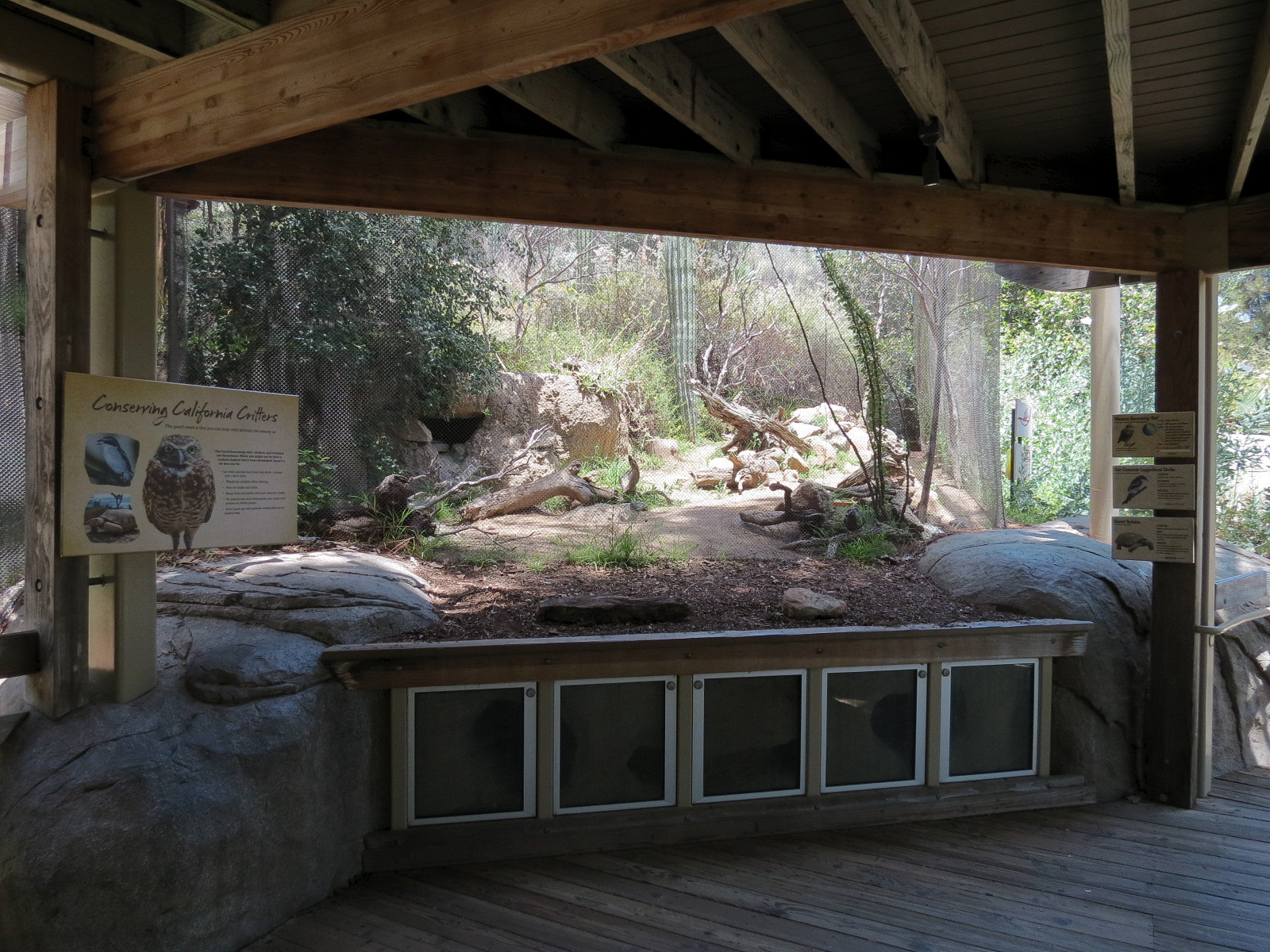 Condor Ridge - Western Burrowing Owl and Others Exhibit