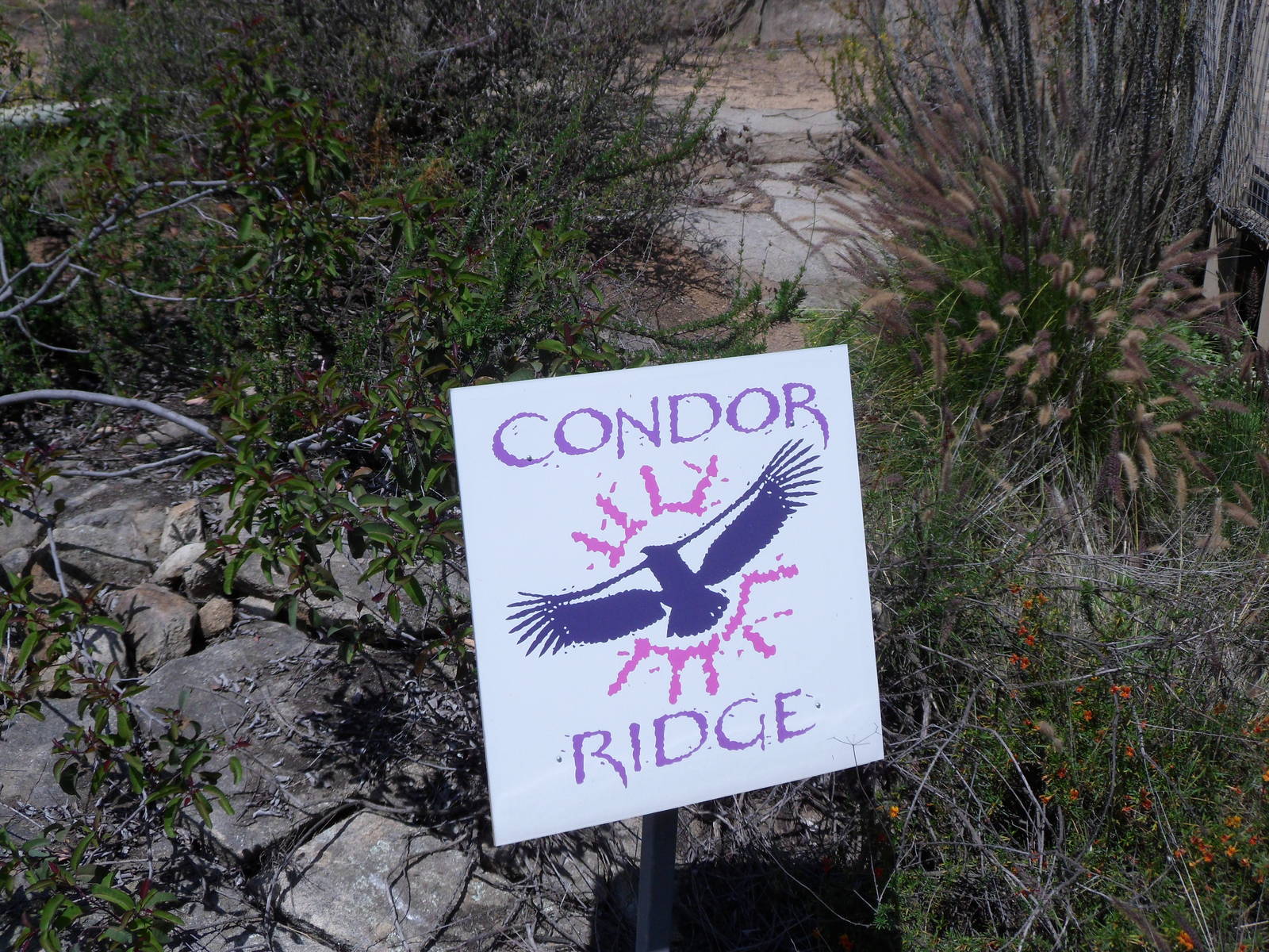 Condor Ridge