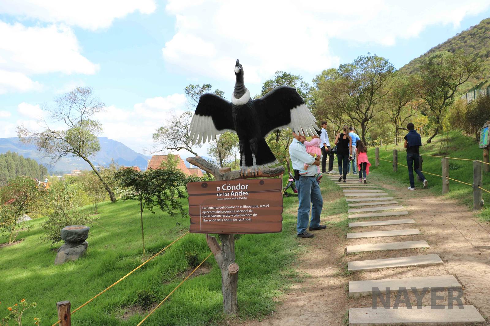 Condor zone, March 2016