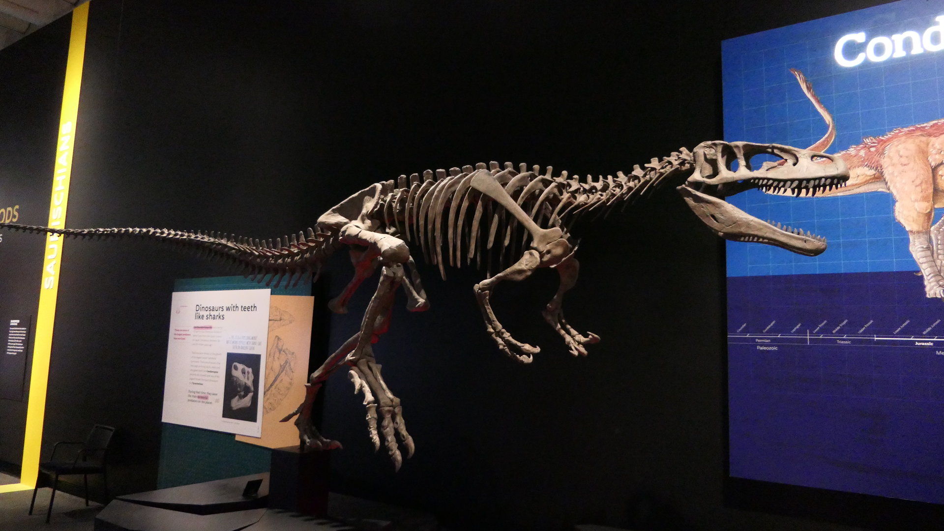 Condorraptor currumili - Dinosaurs of Patagonia