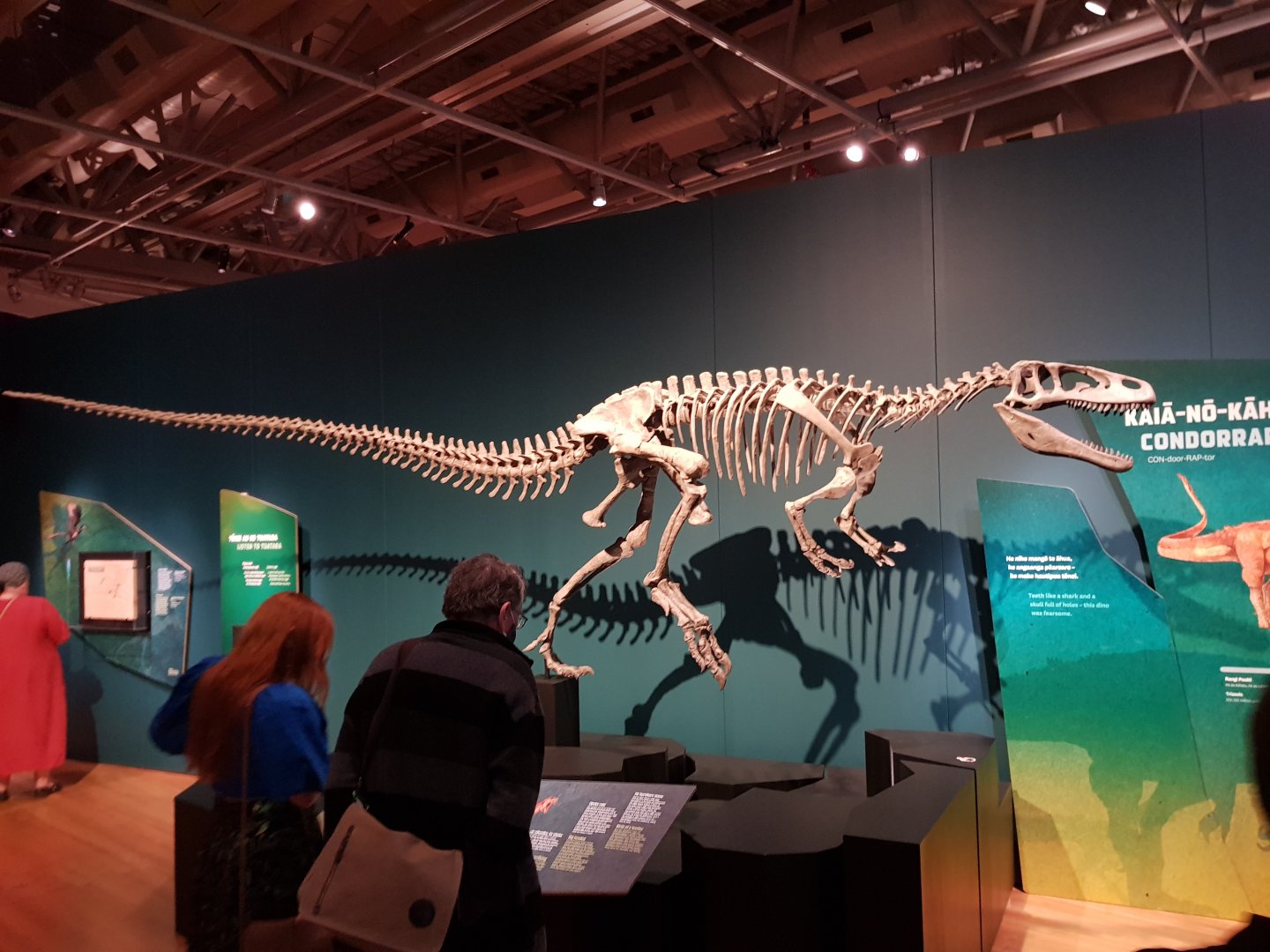 Condorraptor currumili -Ngā Taniwha o Rūpapa | Dinosaurs of Patagonia, Te Papa