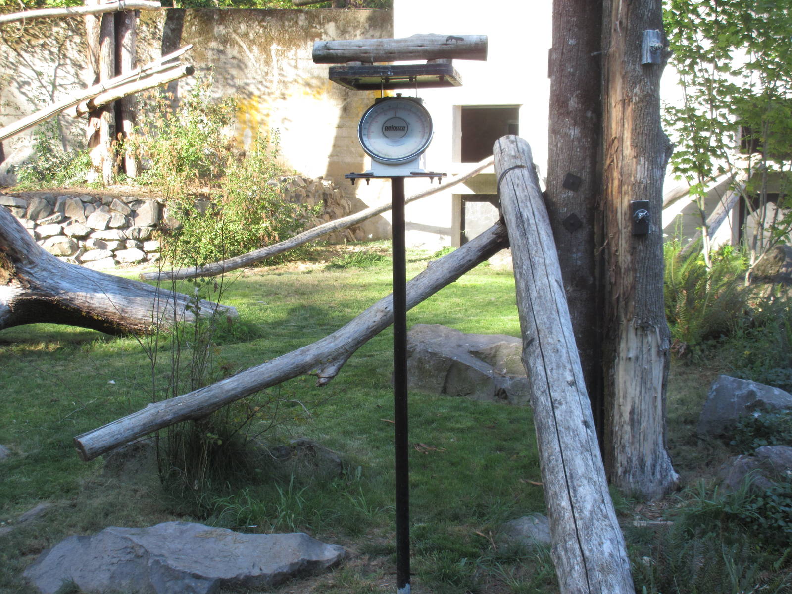 Condors of the Columbia (New in 2014) - Bird Scale