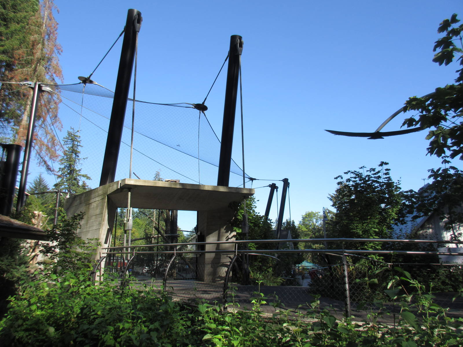 Condors of the Columbia (New in 2014)