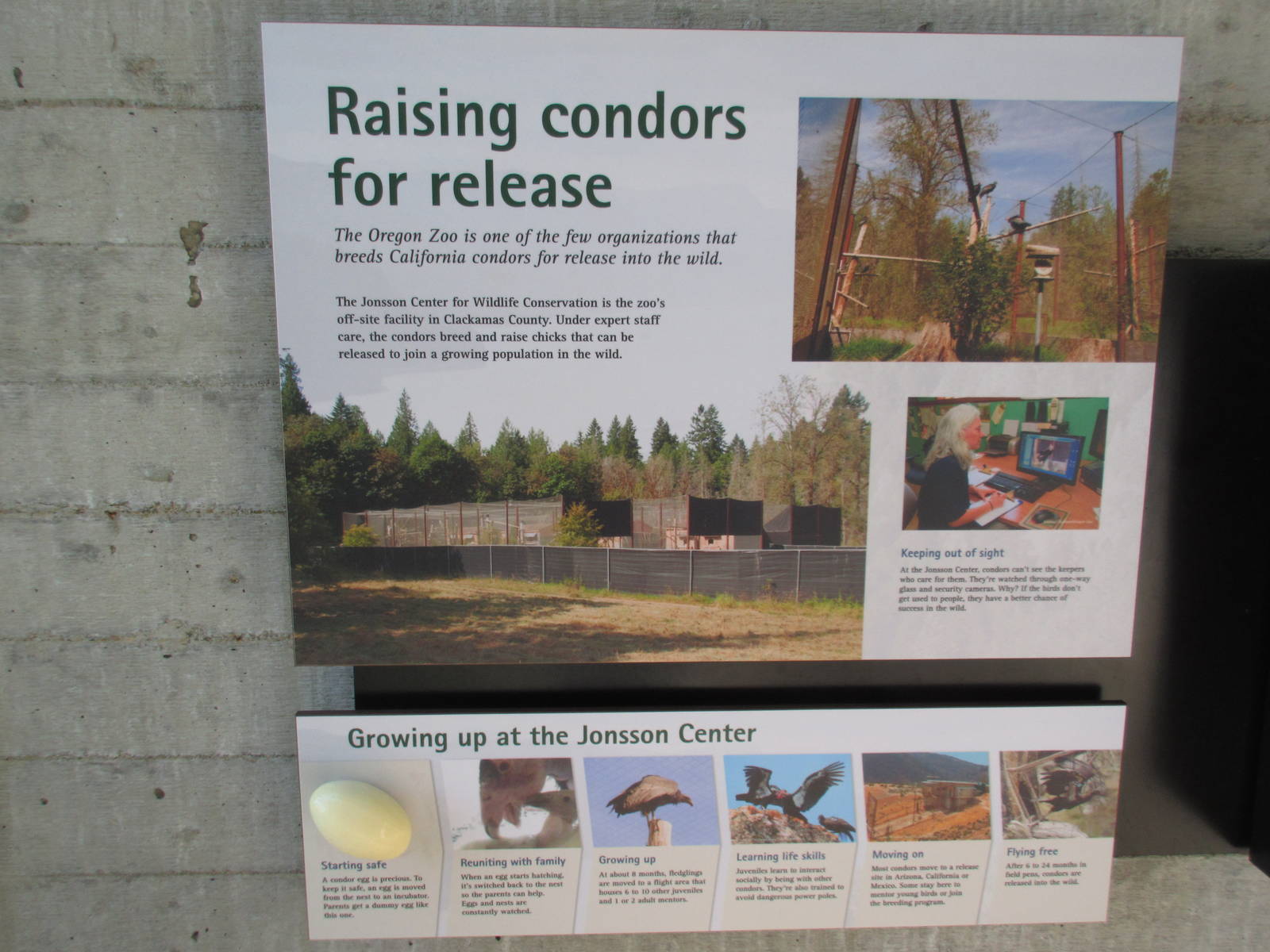 Condors of the Columbia (New in 2014)
