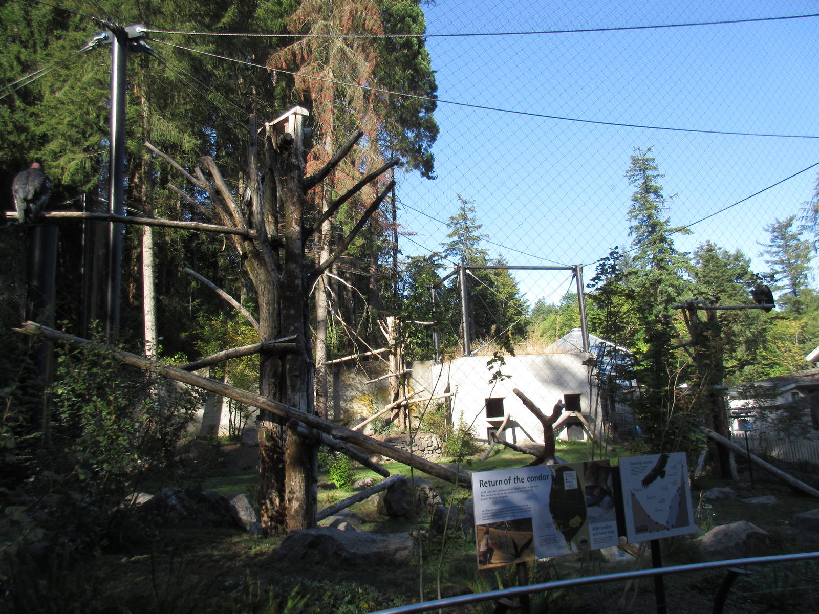 Condors of the Columbia (New in 2014)