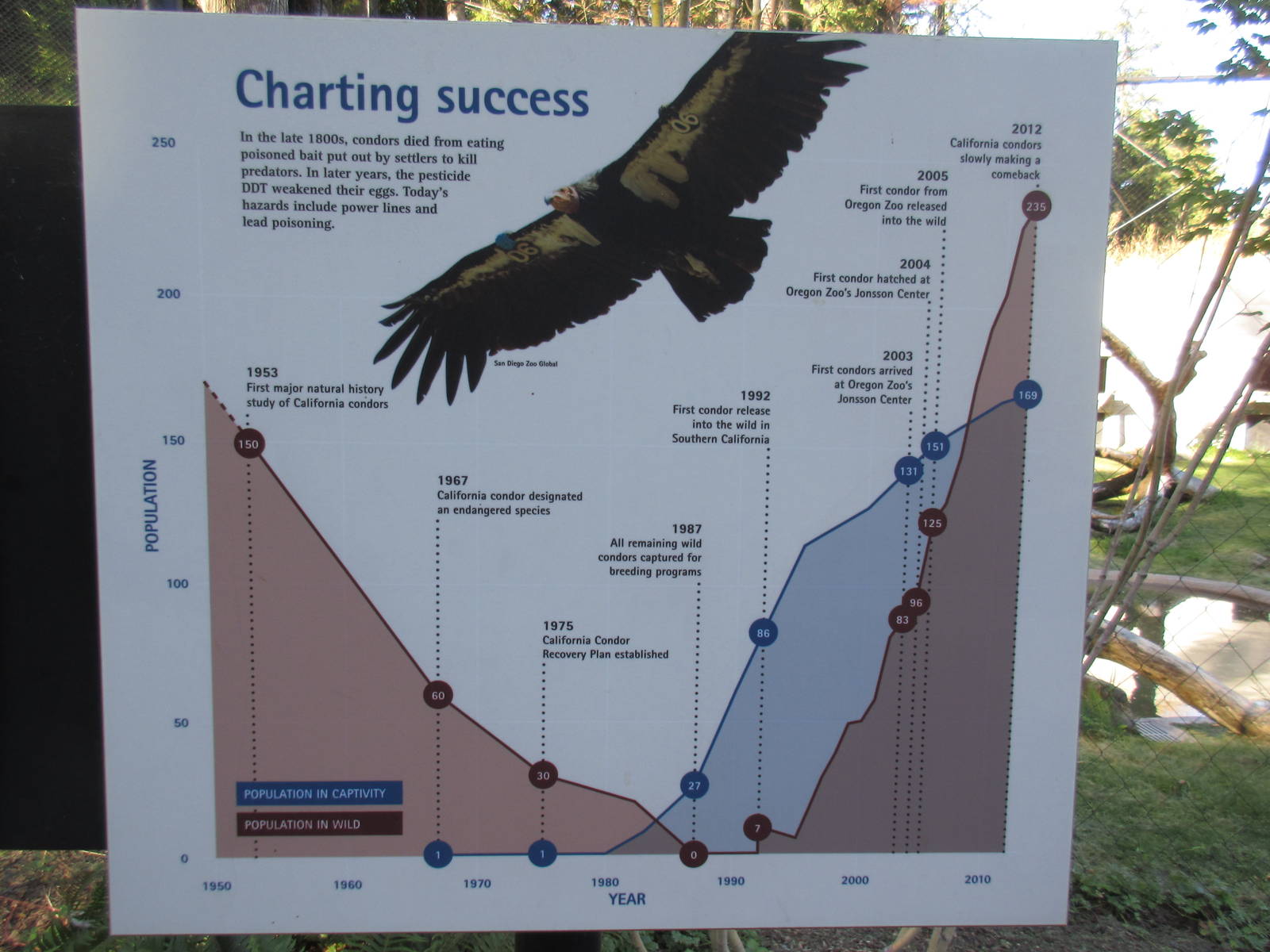 Condors of the Columbia (New in 2014)