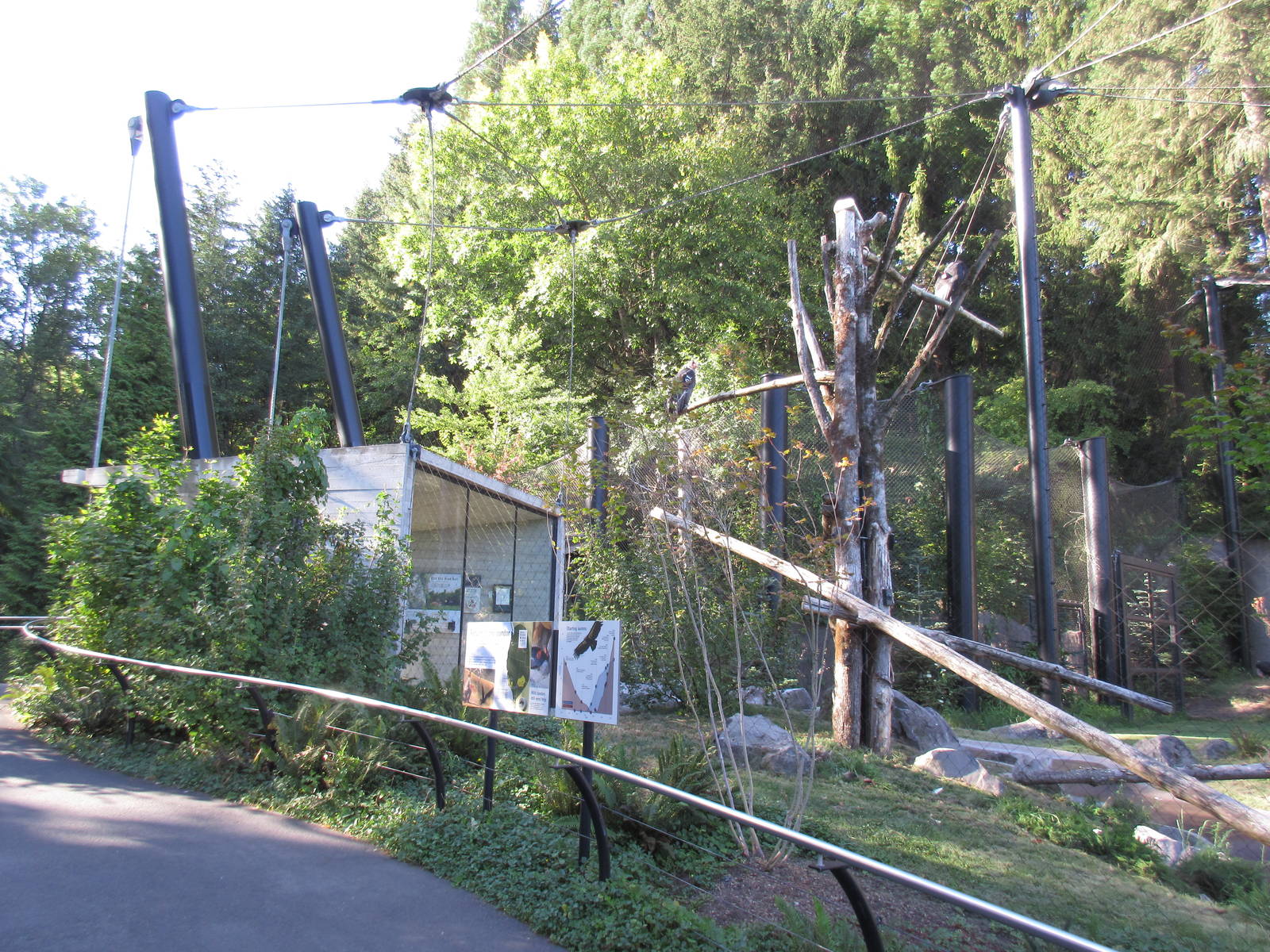 Condors of the Columbia (New in 2014)