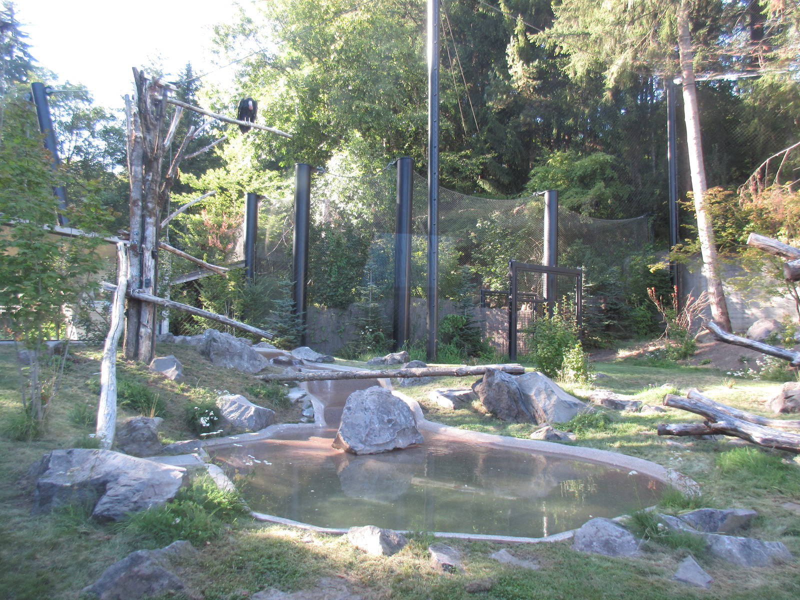 Condors of the Columbia (New in 2014)