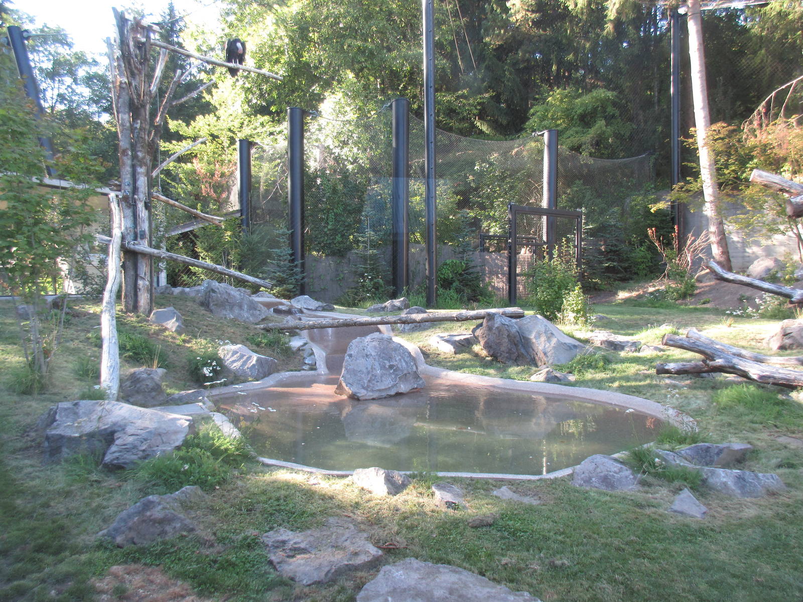 Condors of the Columbia (New in 2014)