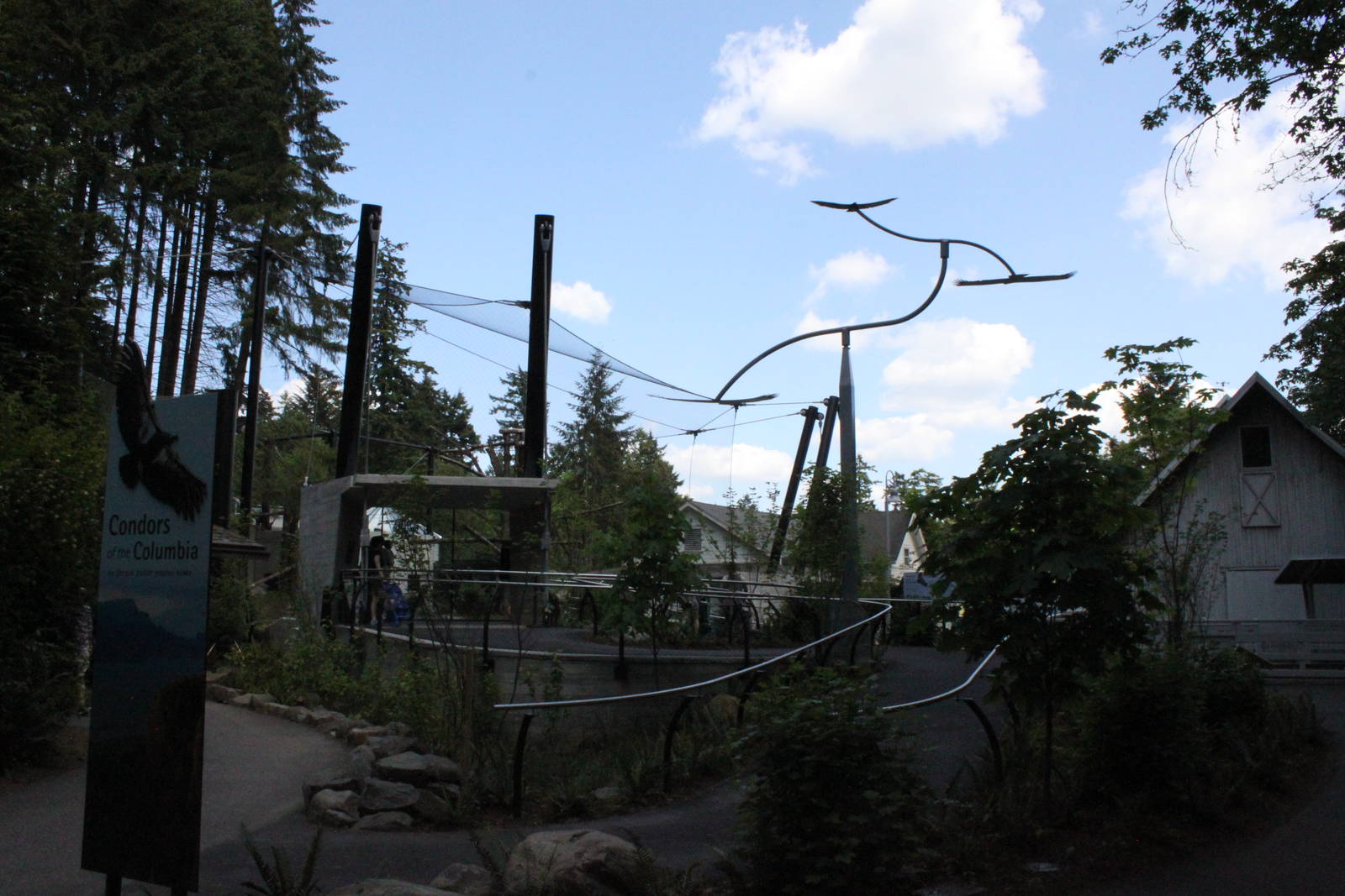 Condors of the Columbia